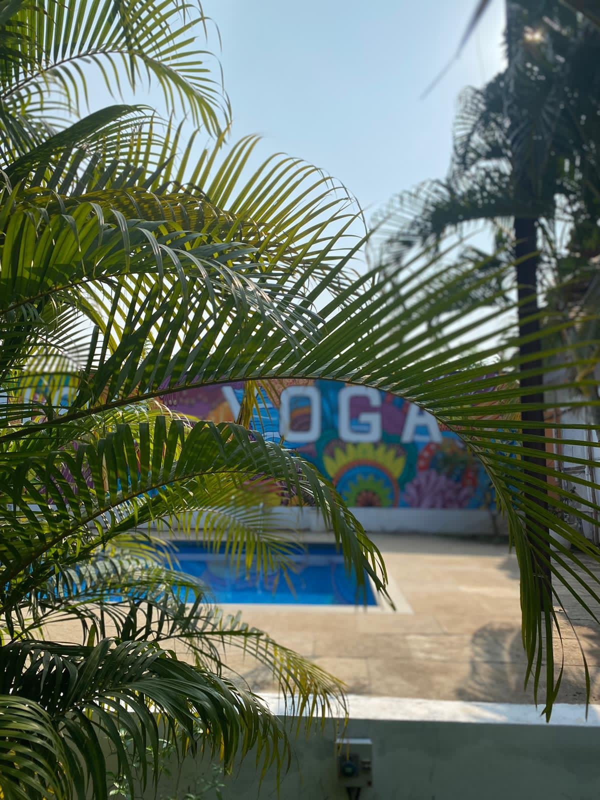 Palm leaves in foreground; colorful mural with 'YOGA' and flowers in background; outdoor setting with bright sky at Kashish Yoga in India Goa.