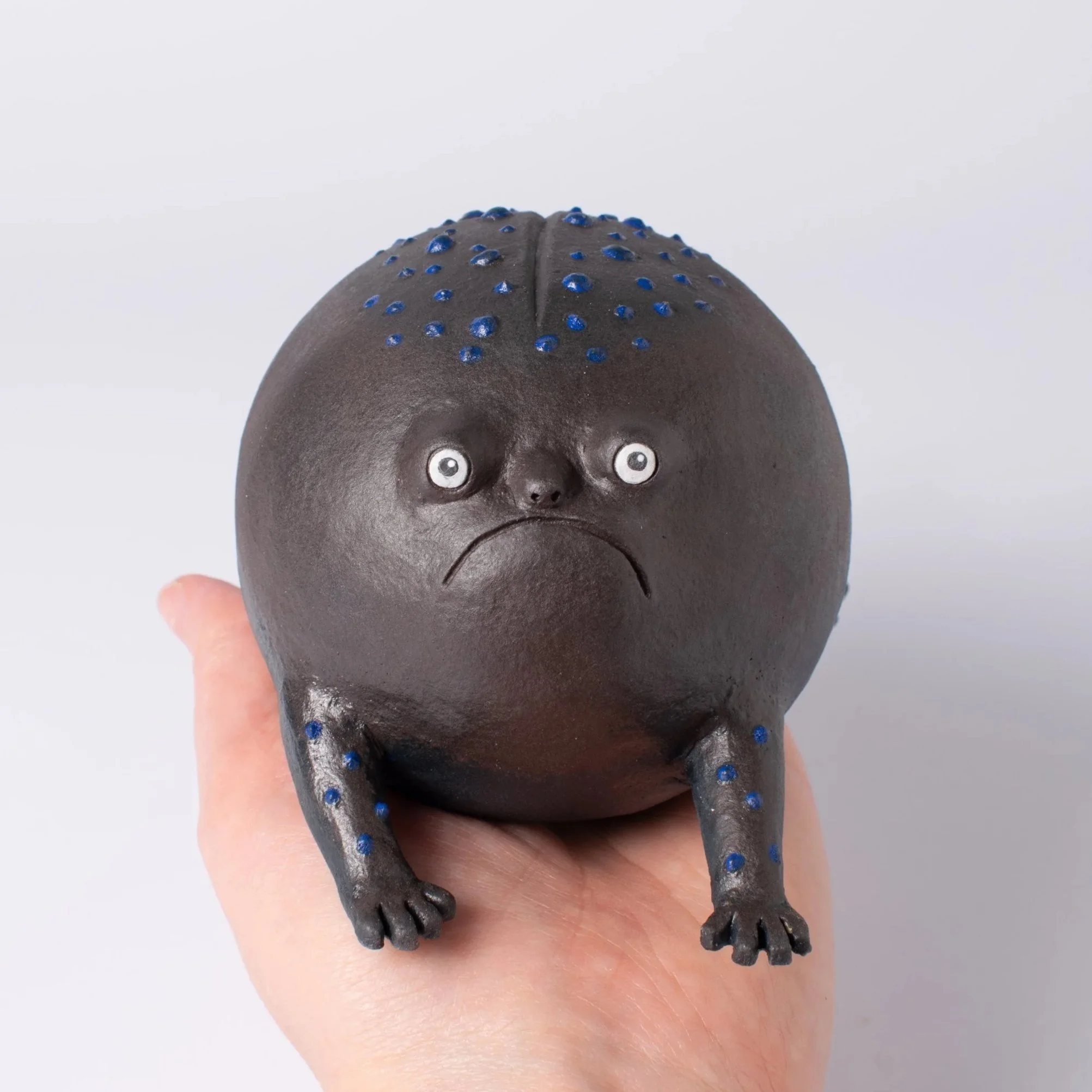 RainFrog-01.jpg