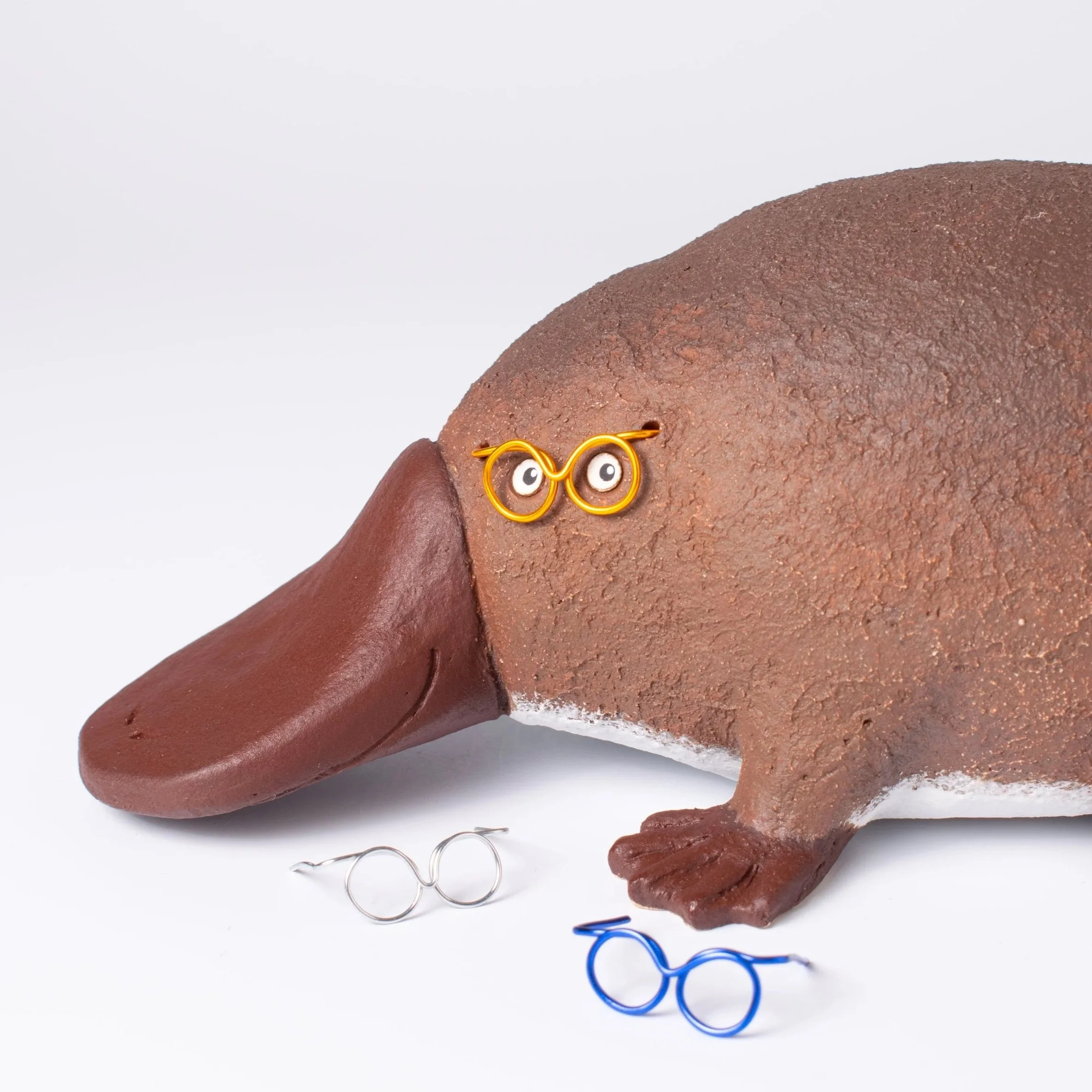 Platypus-14.jpg