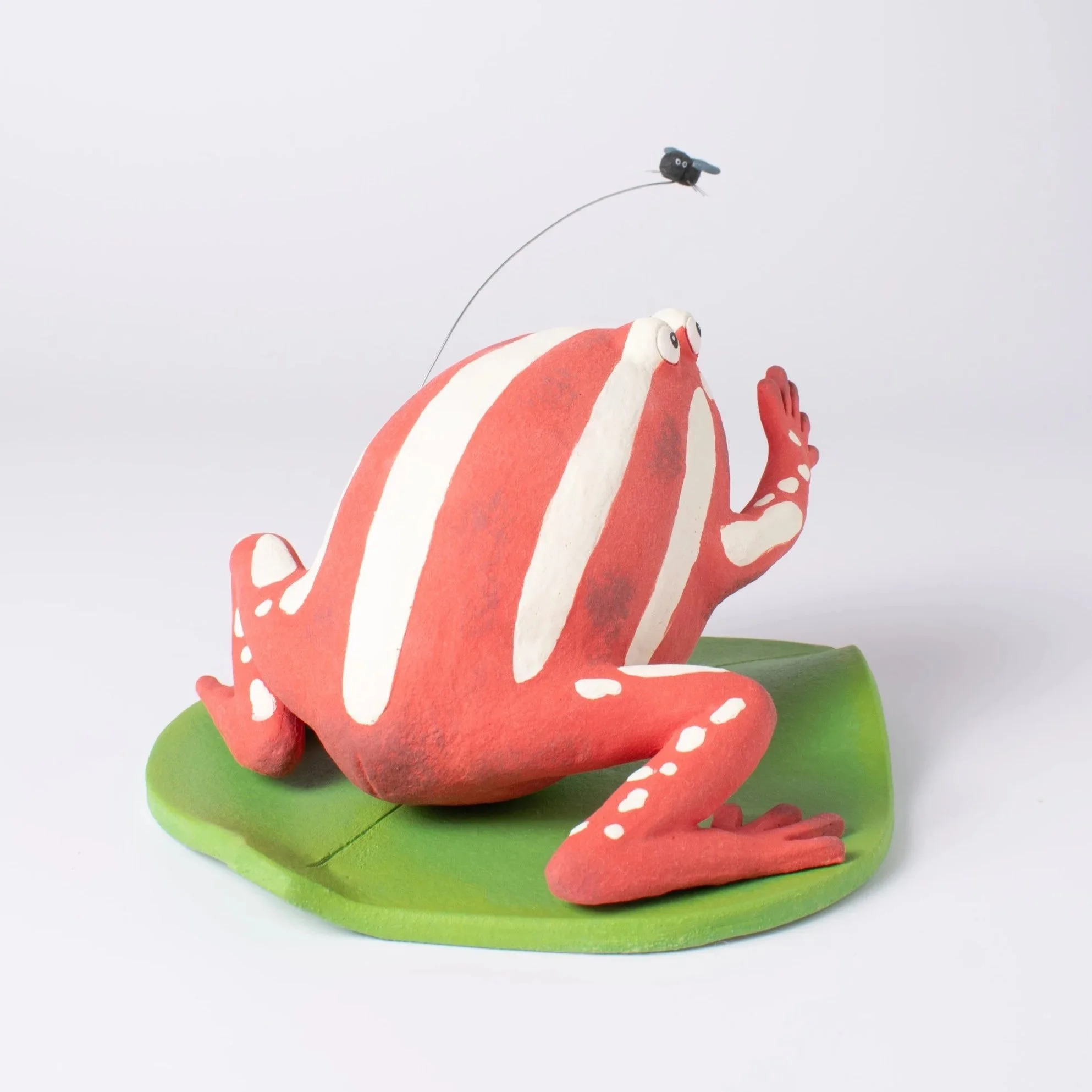 FrogFly-12.jpg