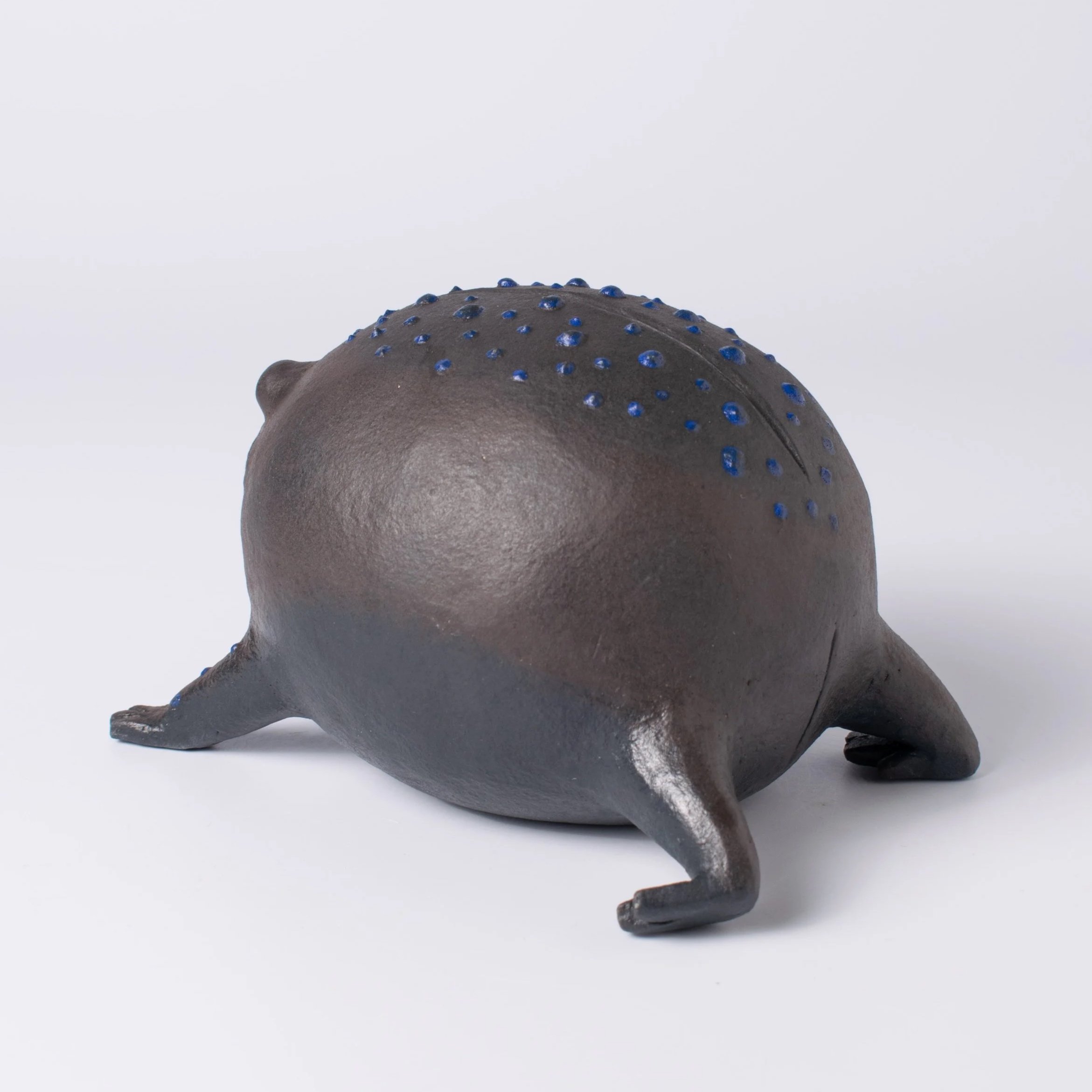 RainFrog-09.jpg