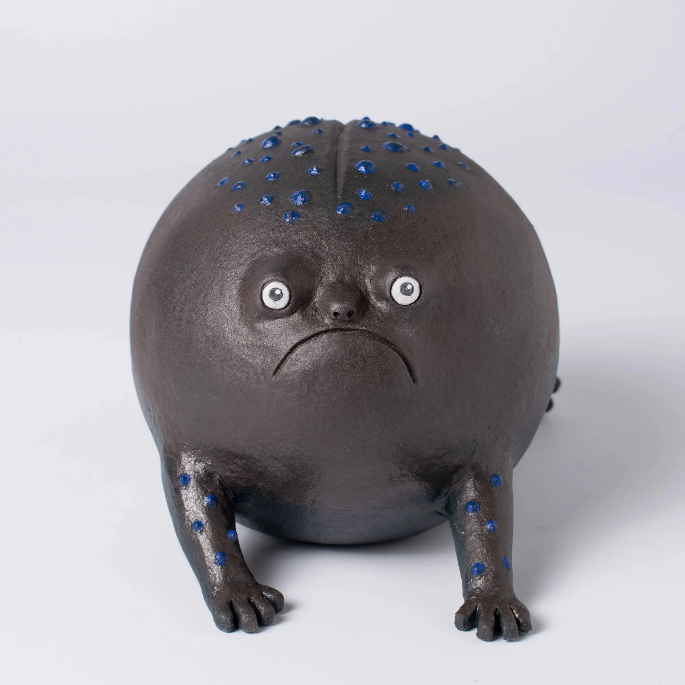 RainFrog-11.jpg