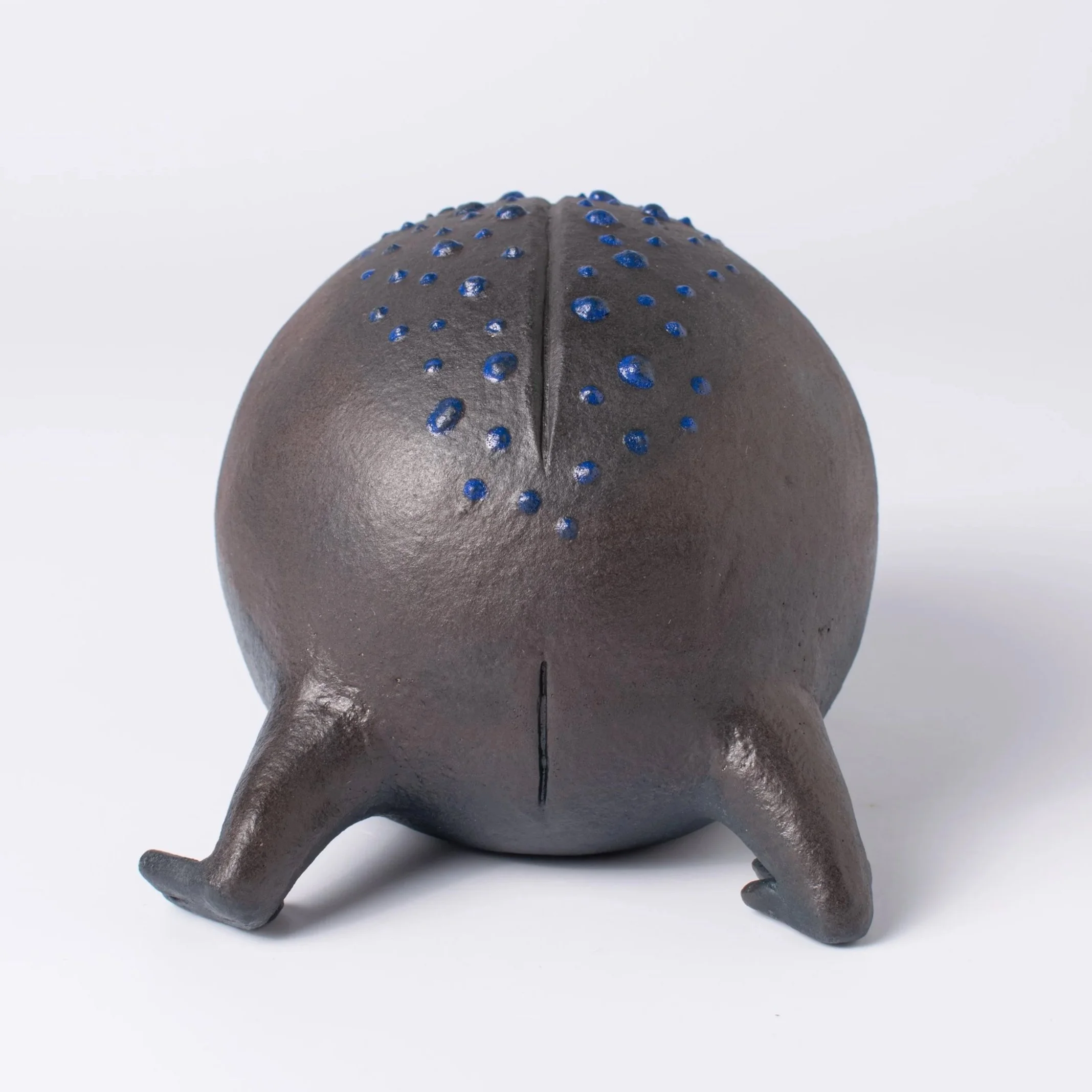 RainFrog-08.jpg