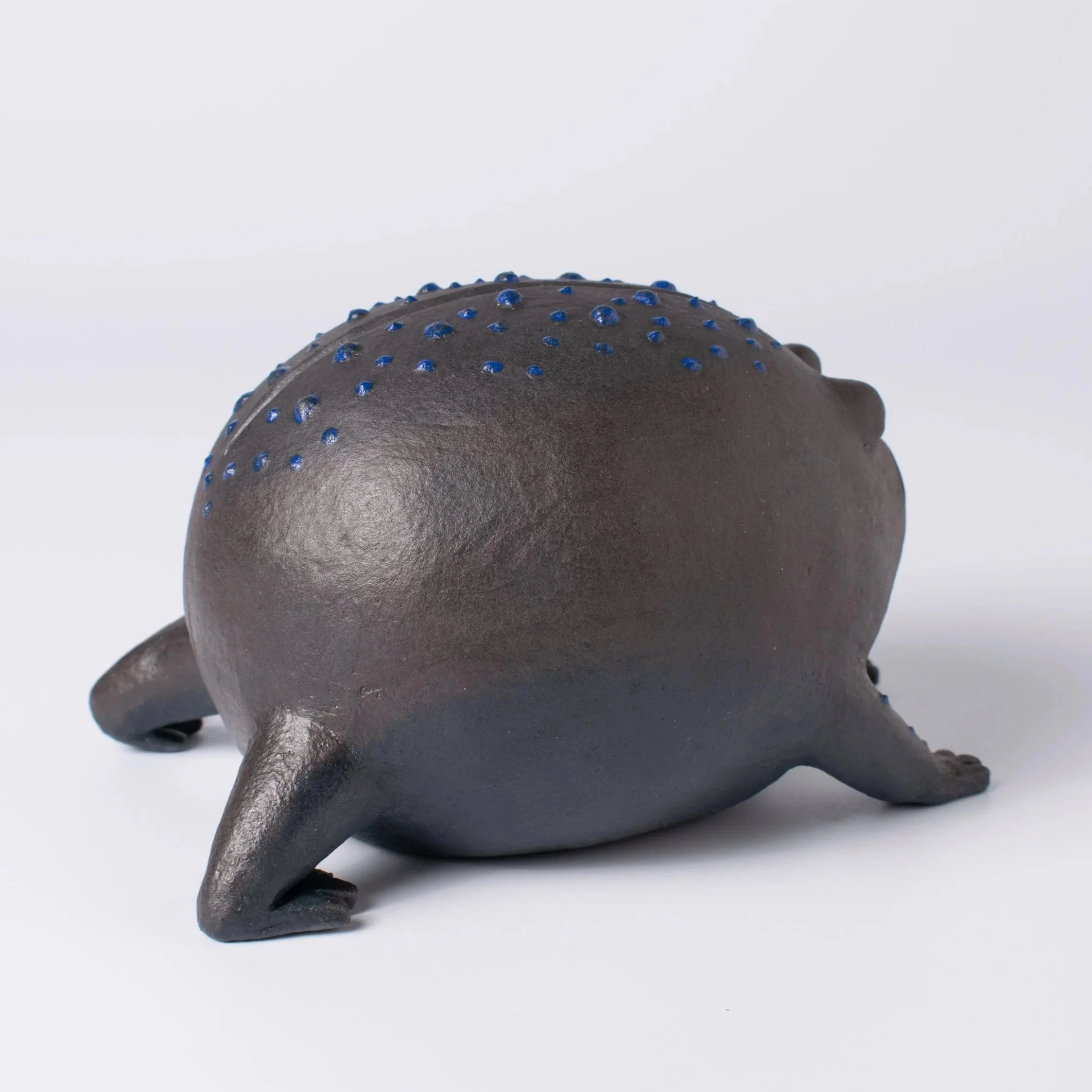 RainFrog-07.jpg