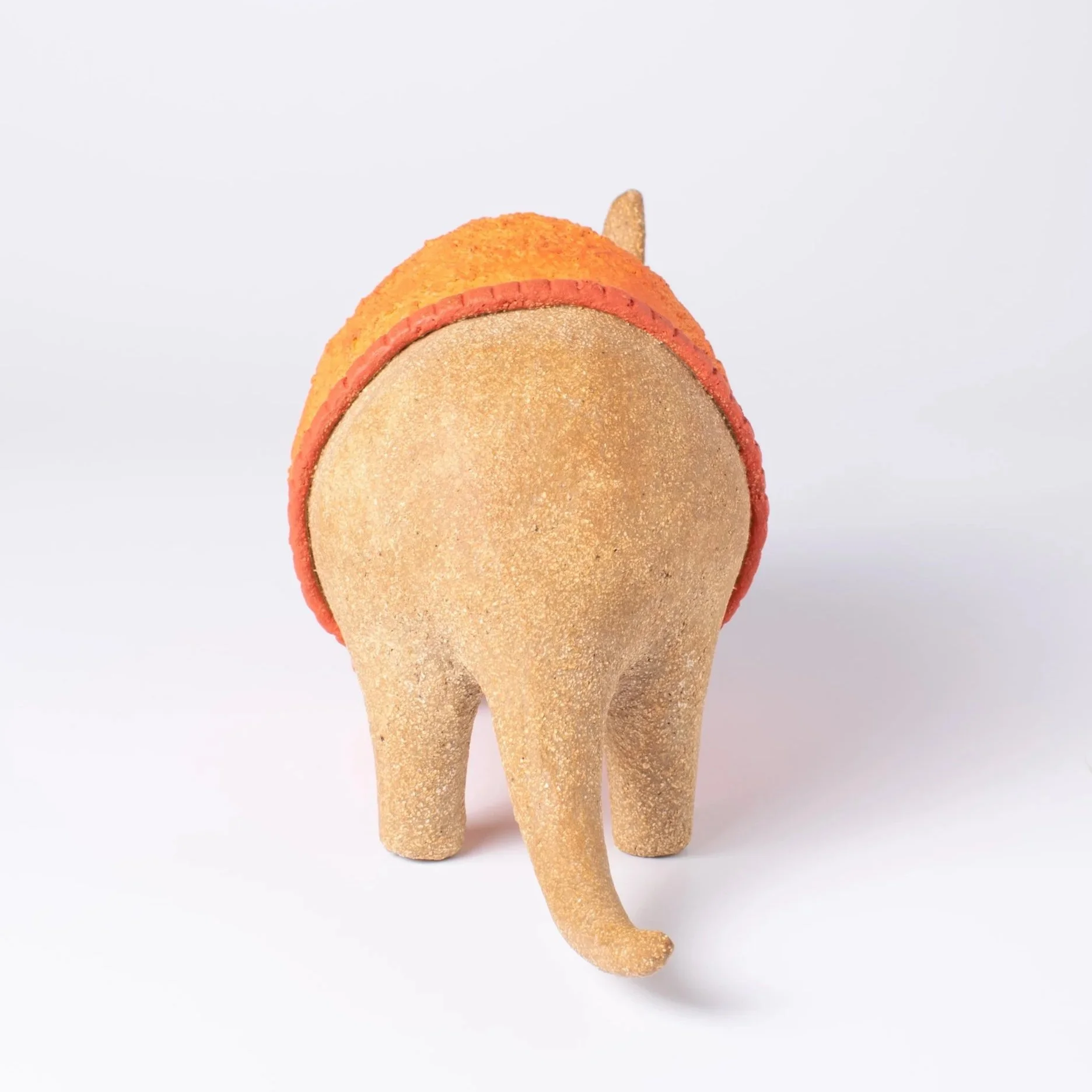 Aardvark-6.jpg