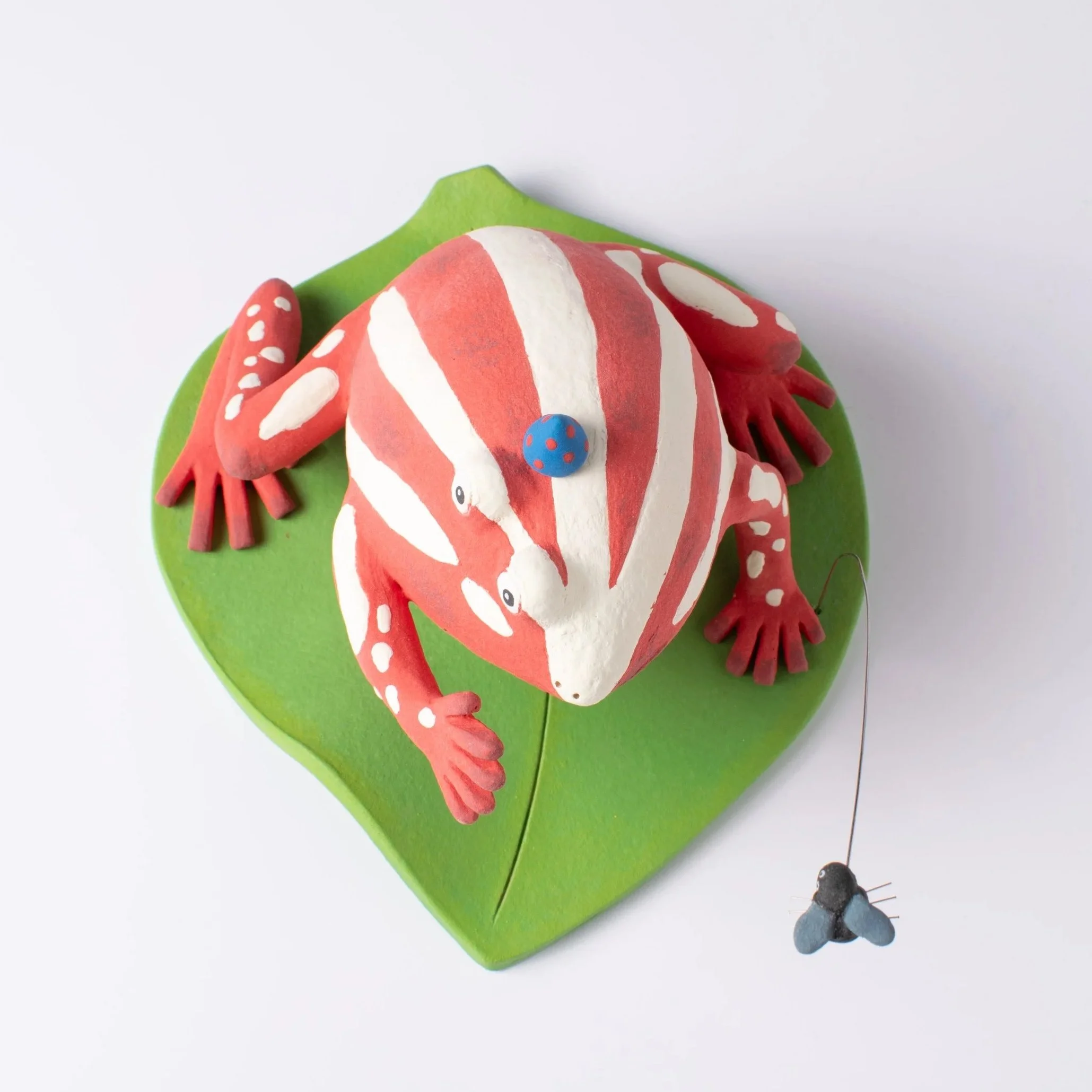 FrogFly-7.jpg