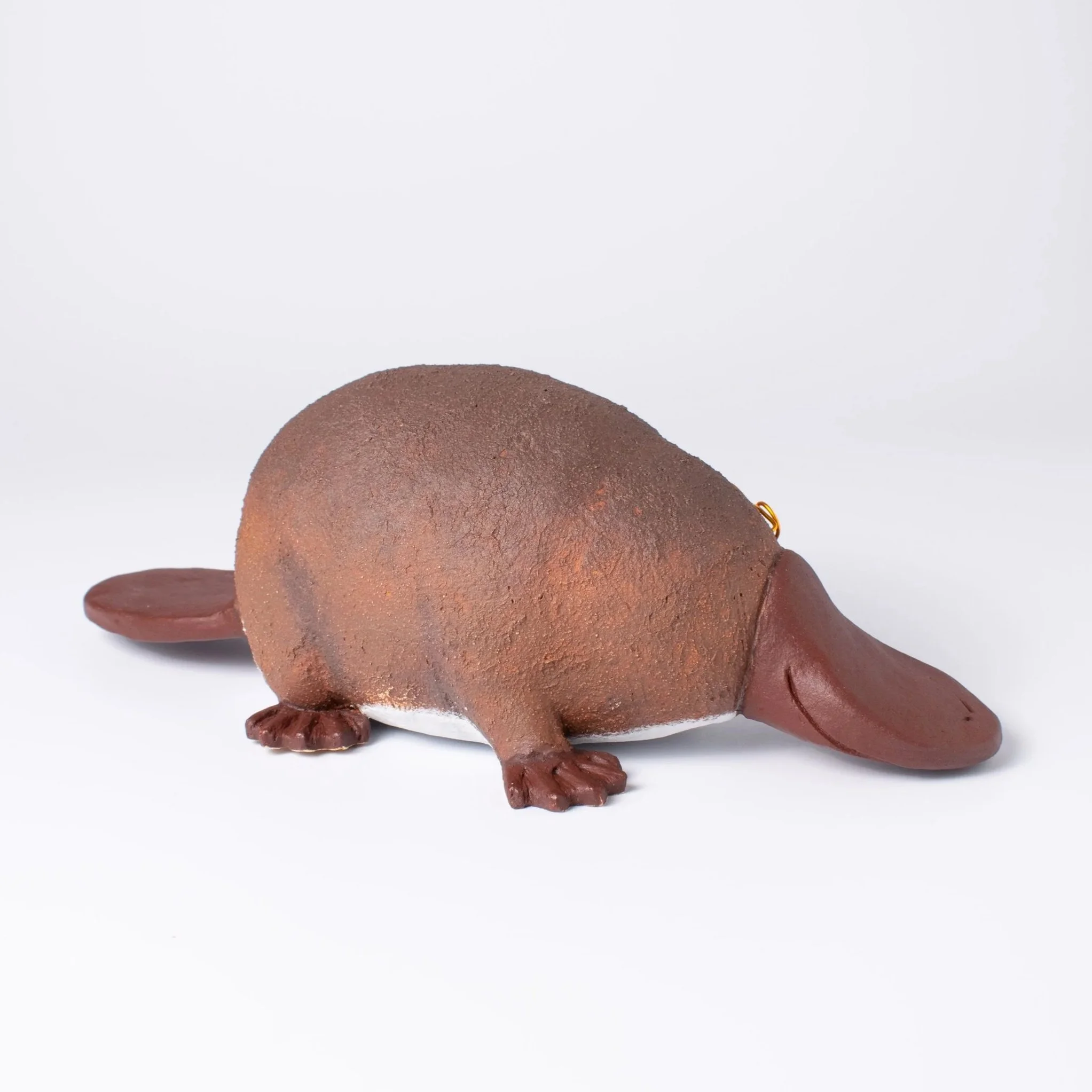 Platypus-10.jpg