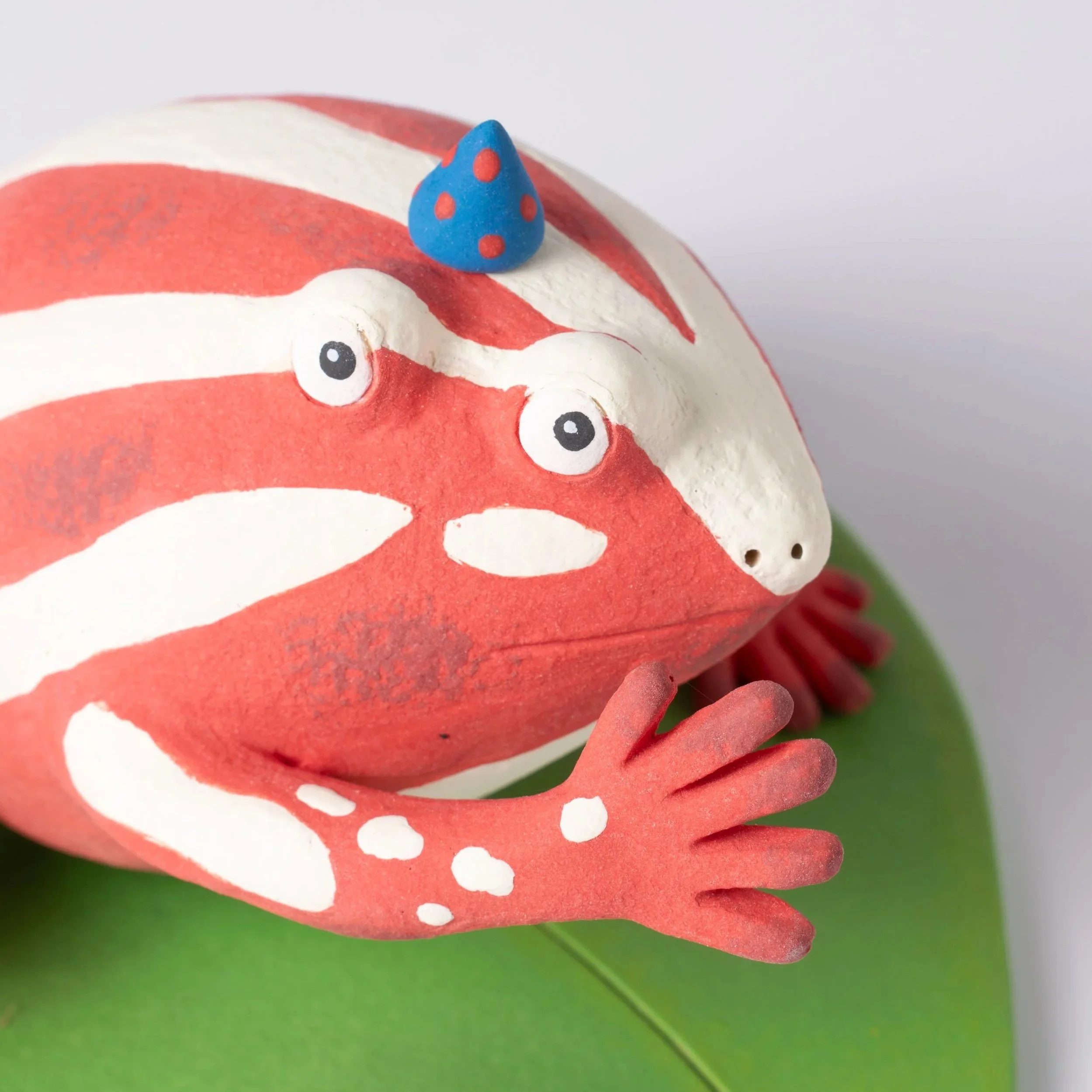FrogFly-2.jpg