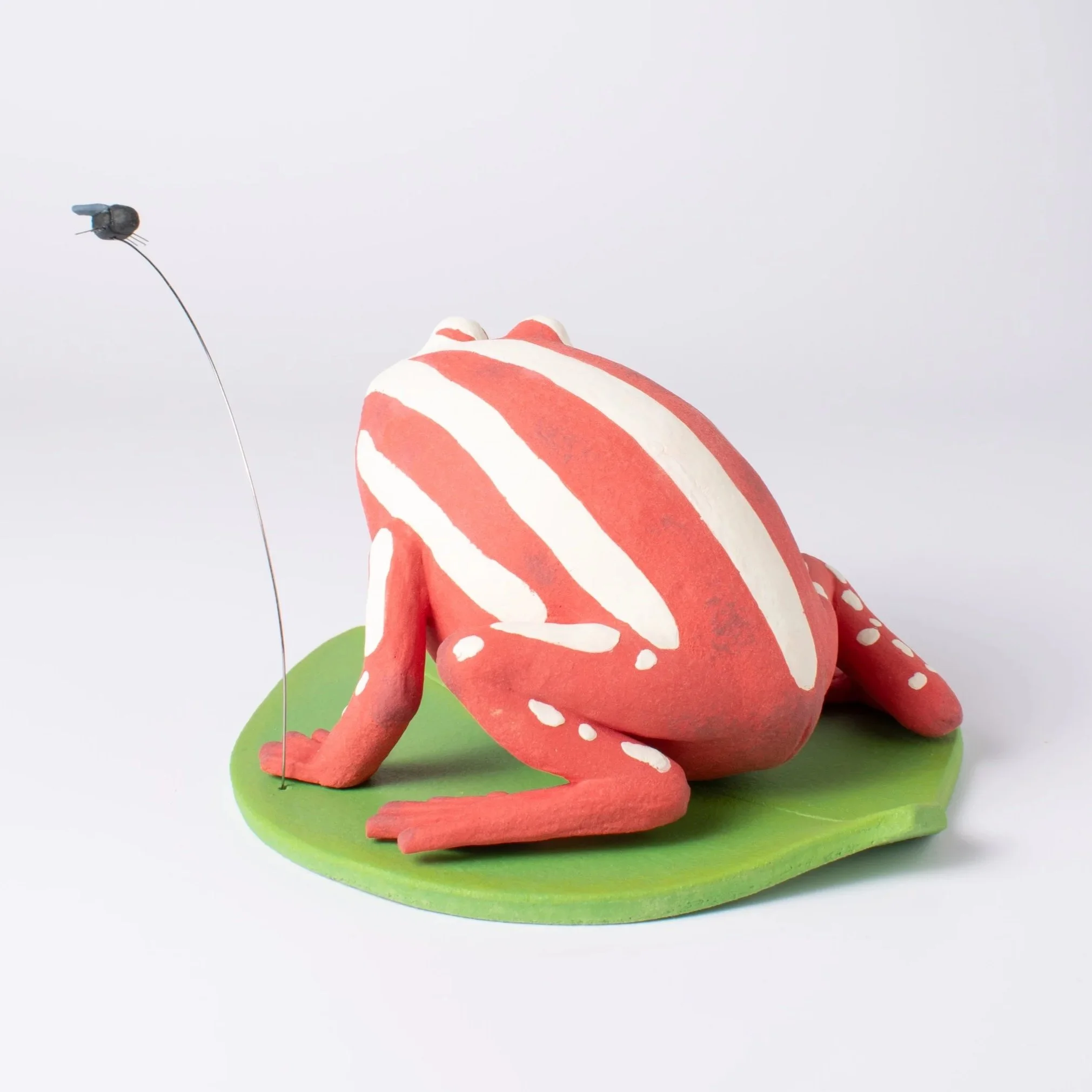 FrogFly-11.jpg