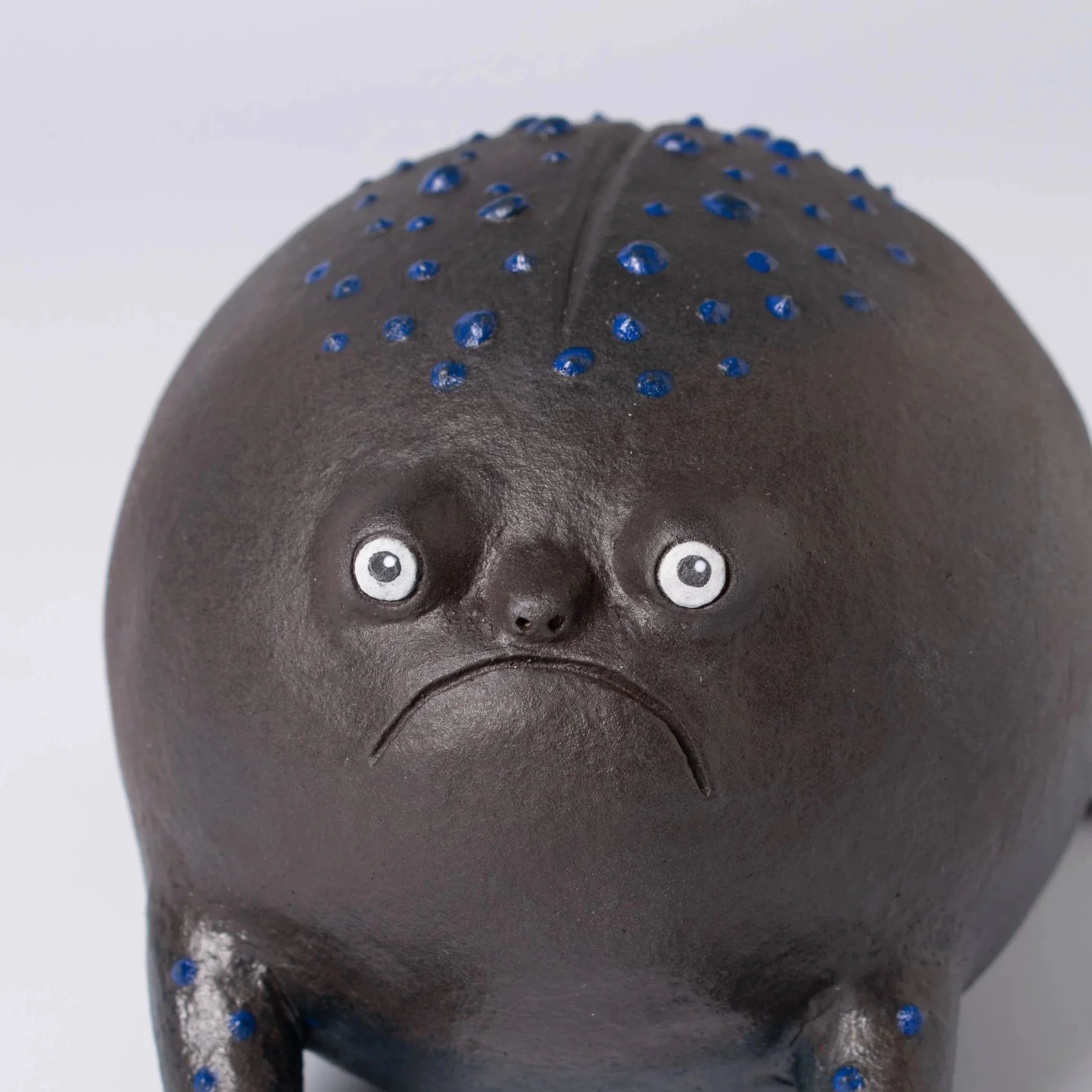 RainFrog-02.jpg