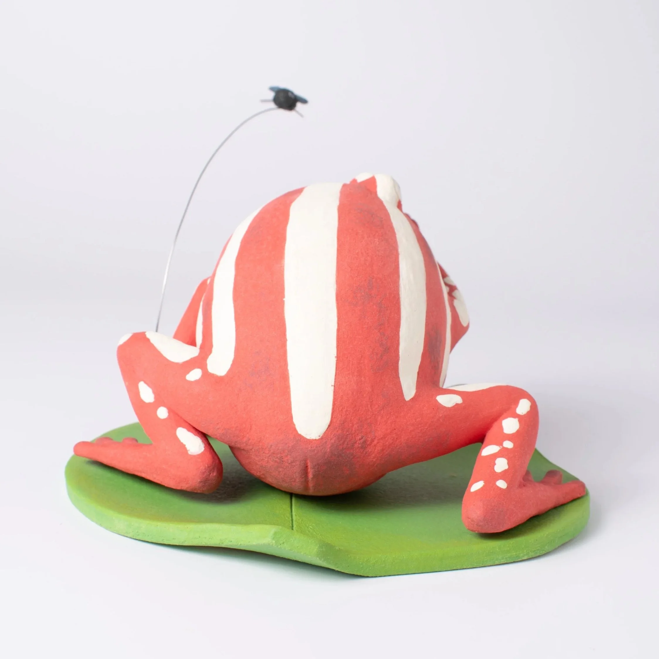 FrogFly-4.jpg
