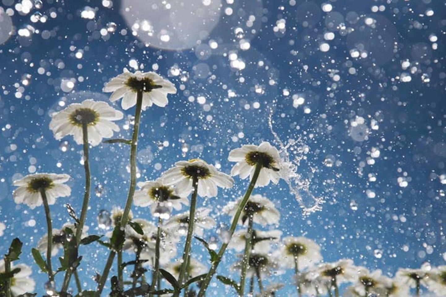Platform Poetry - April Showers
