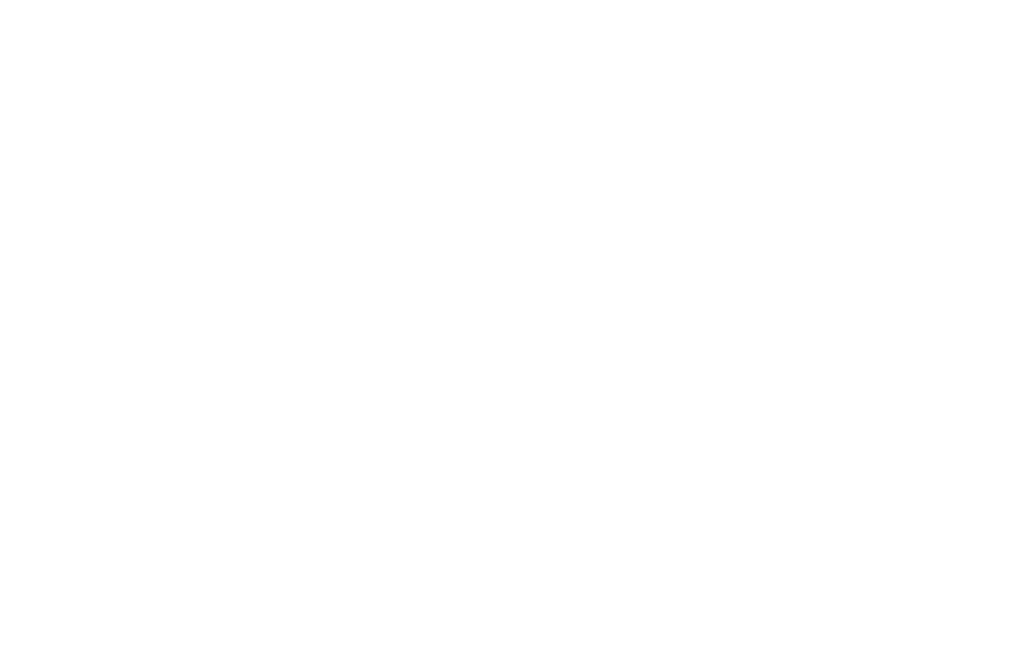 Lisa Shaw