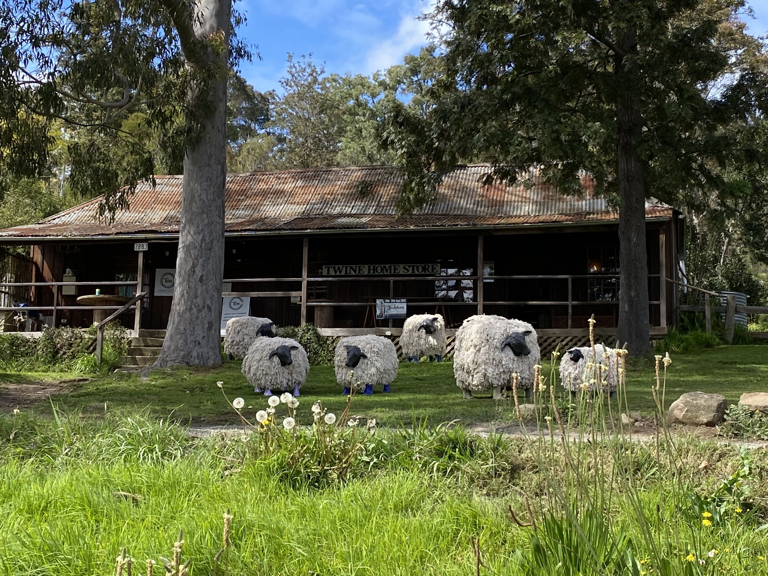 "The Mop Up" Sculpture In The Vinyards 2022. Wollombi