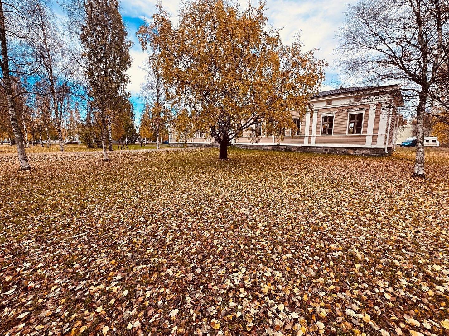 🍂 Syksy 🧡

#kasarmiklubi 
#12vuodenaikaa