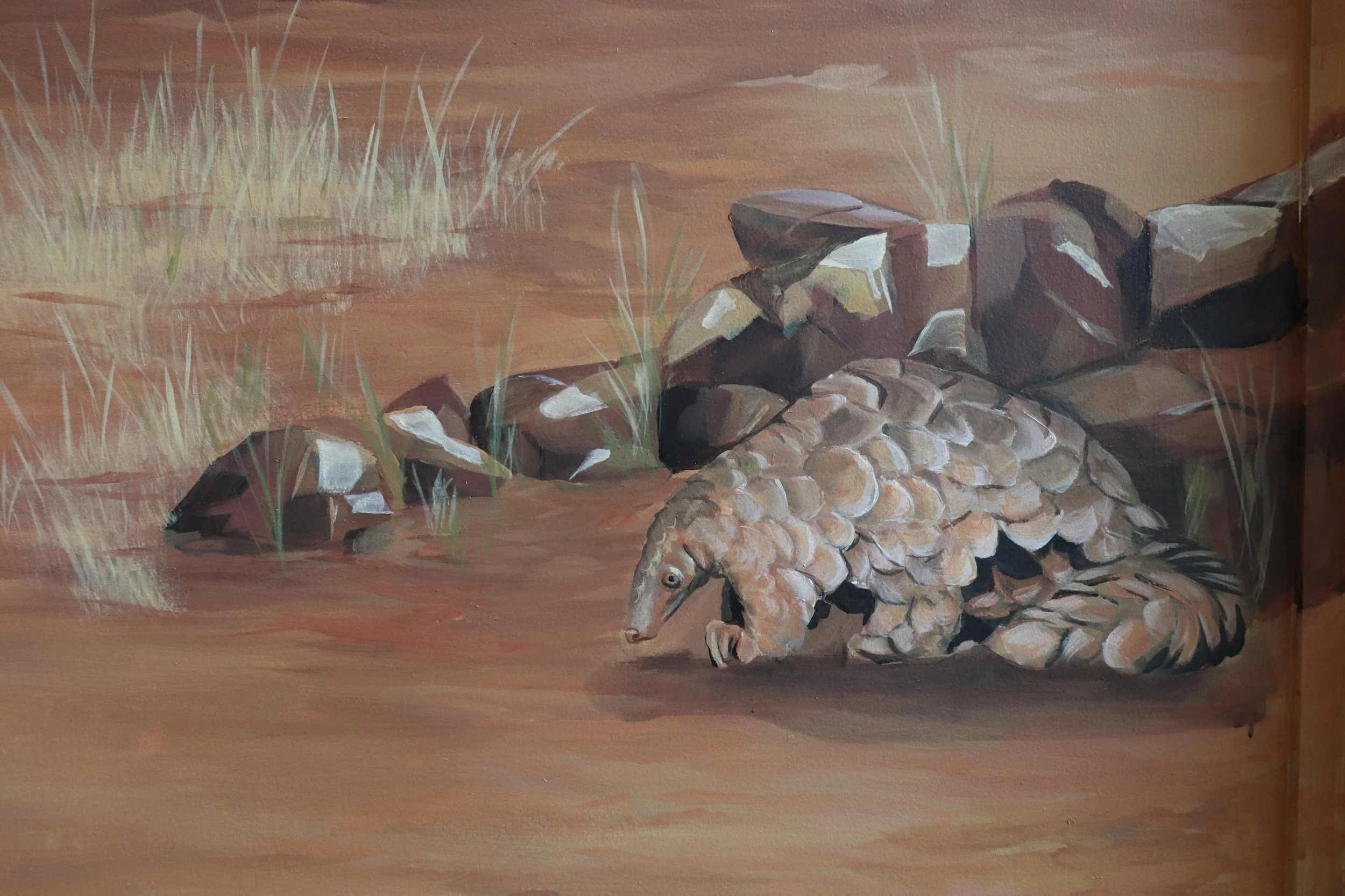 Africa II, pangolin