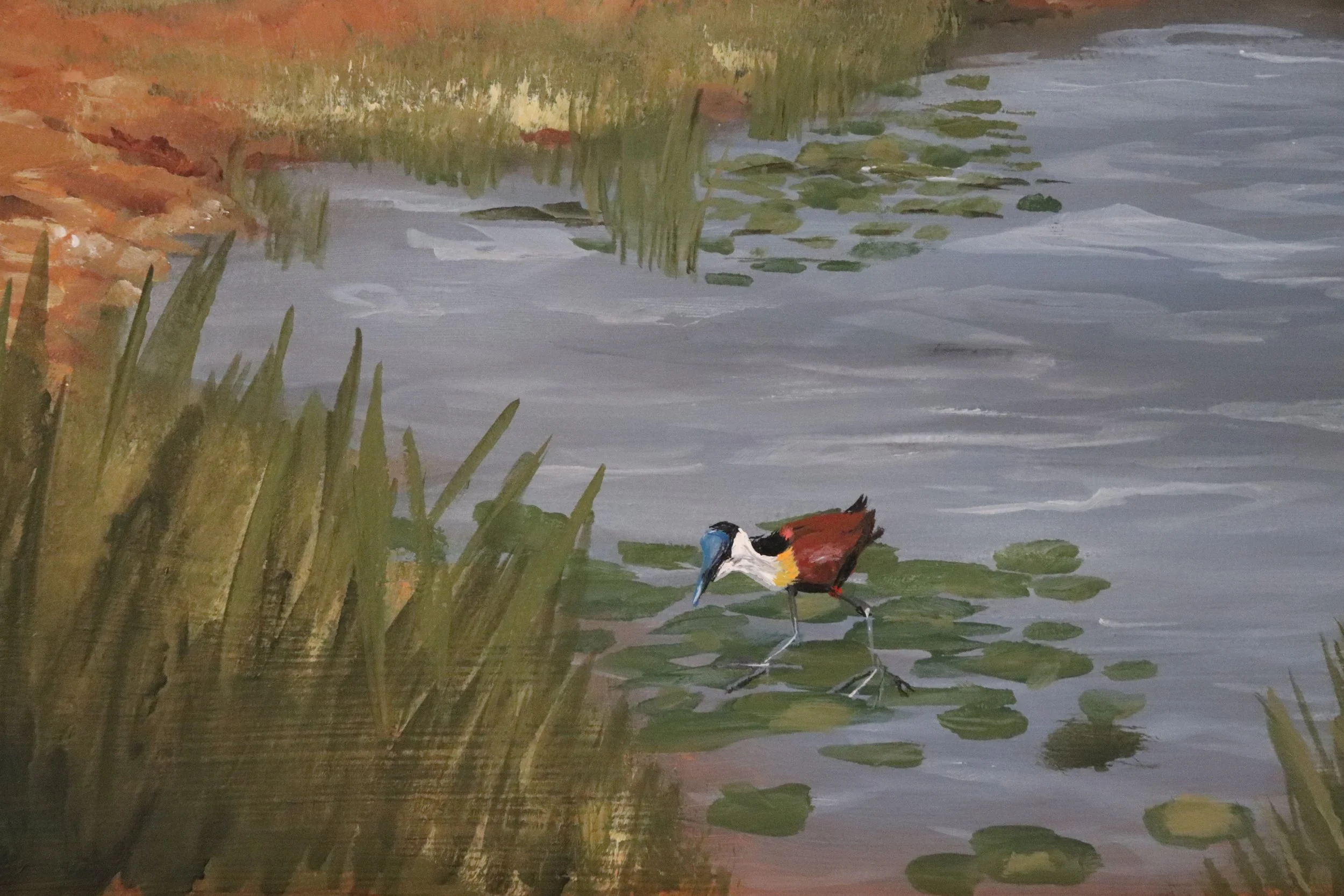 Africa II, African Jacana