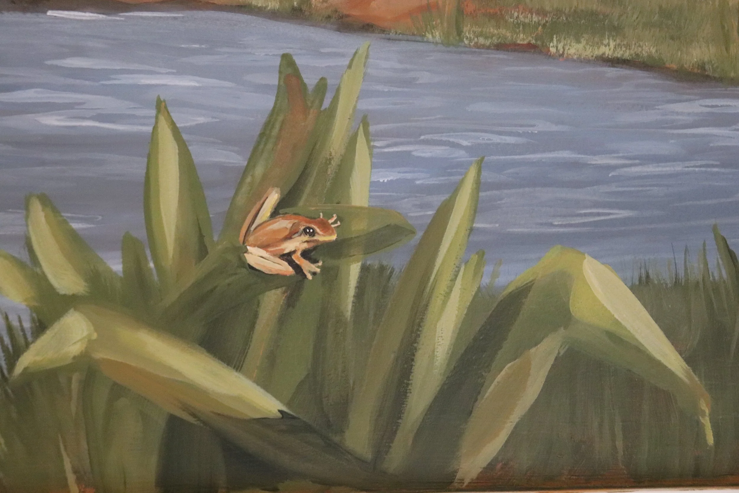 Africa II, green frog