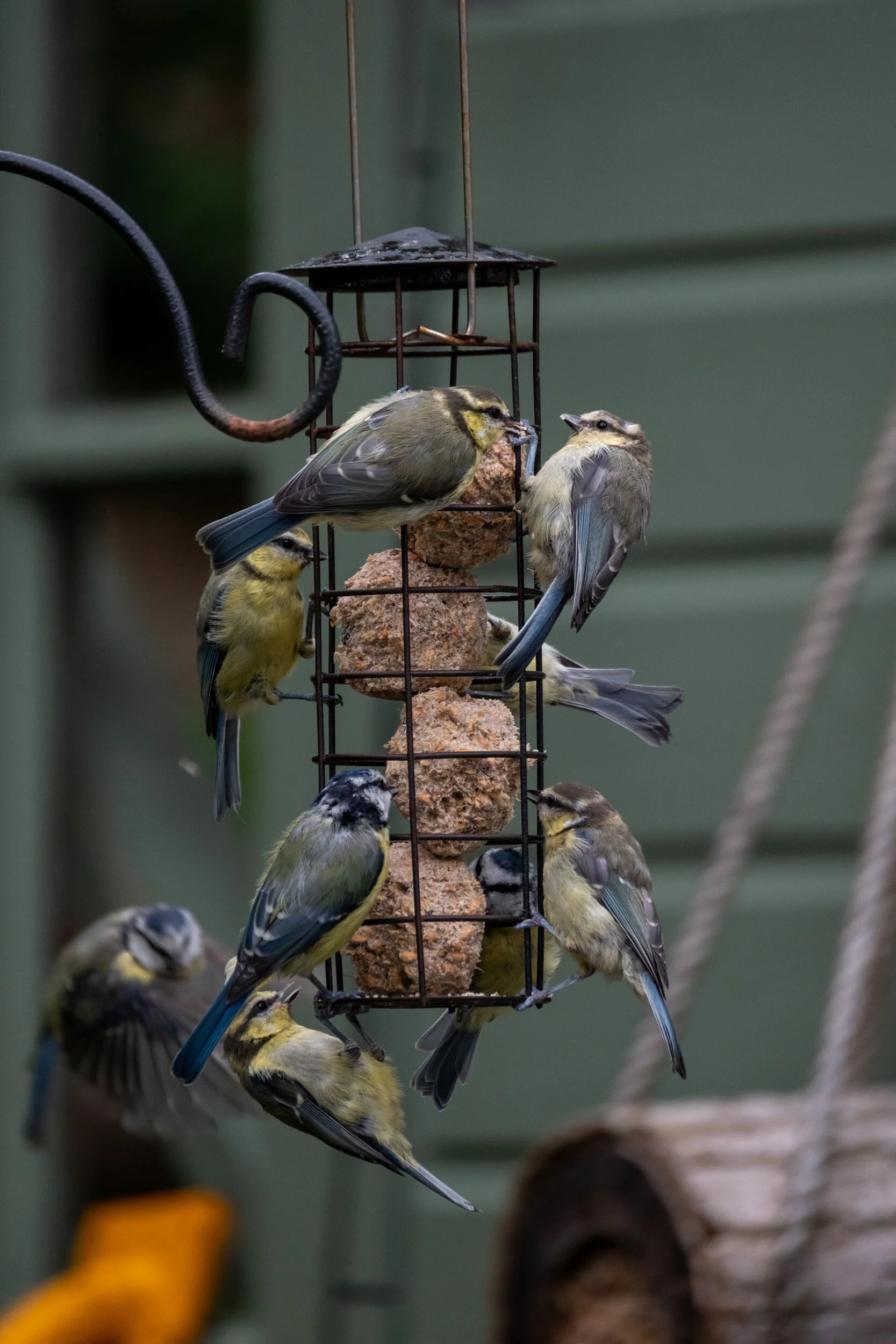 DSCF1708.jpg