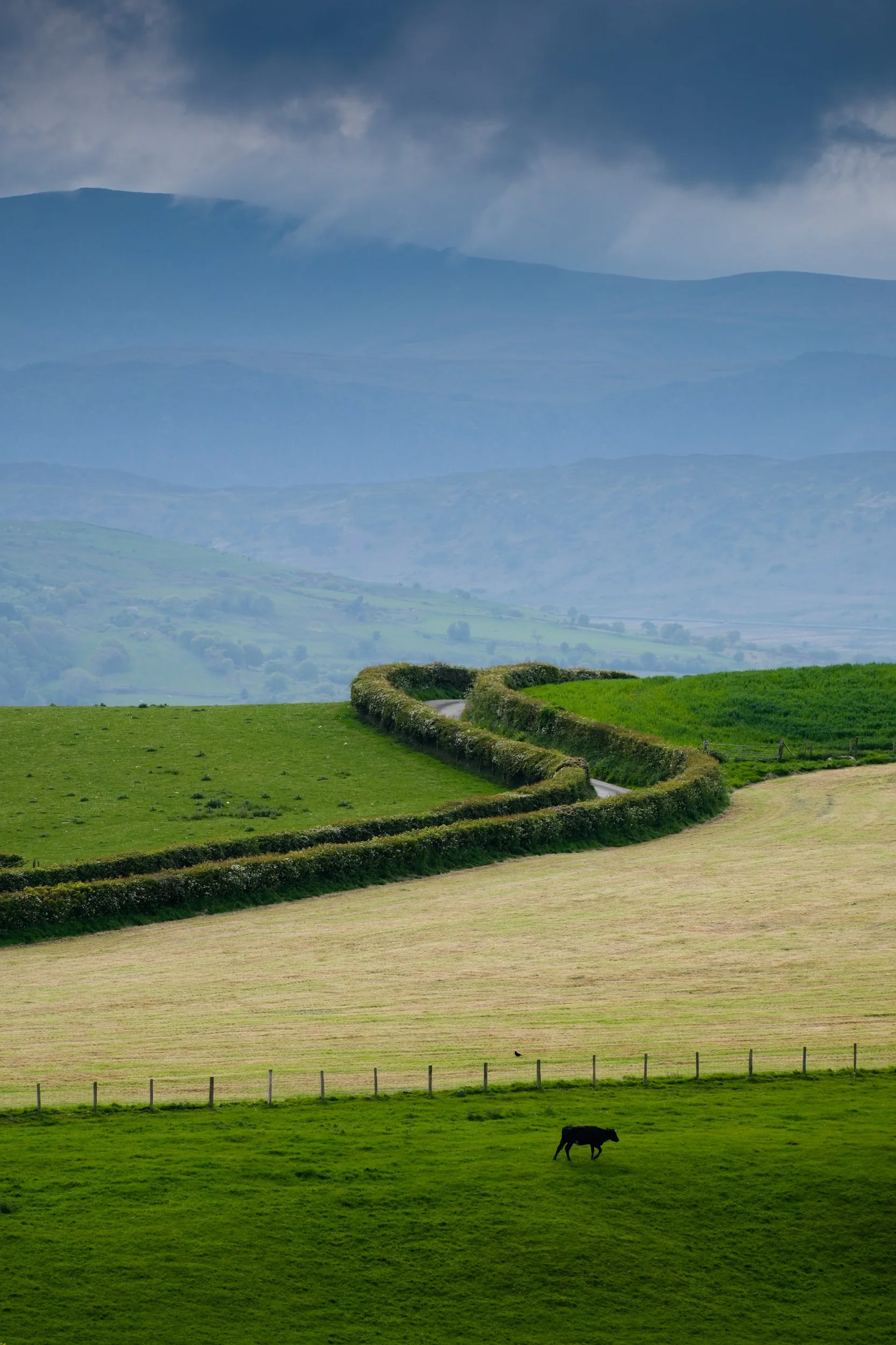 Maenan above the Conwy Valley