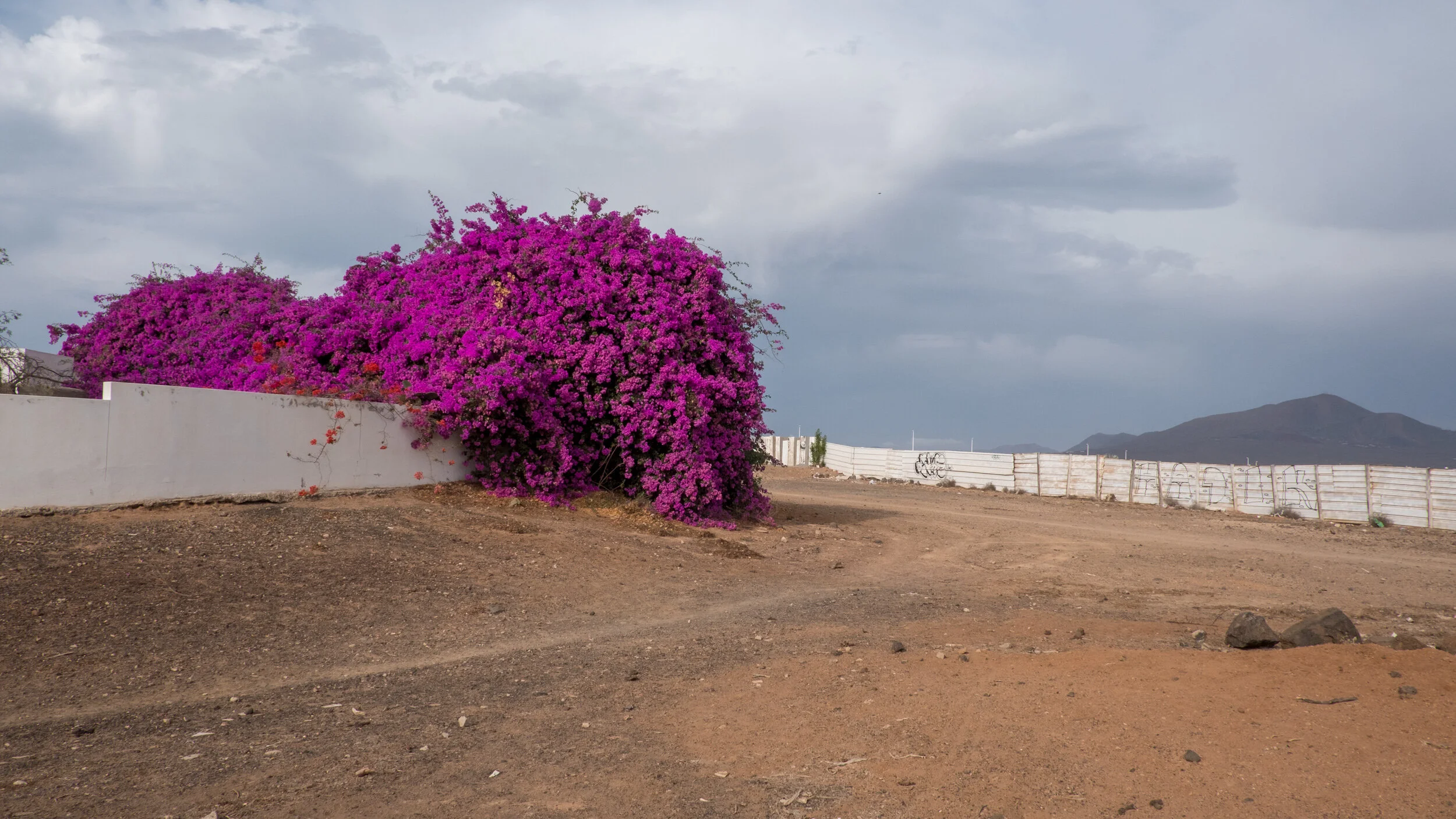 Lanzarote
