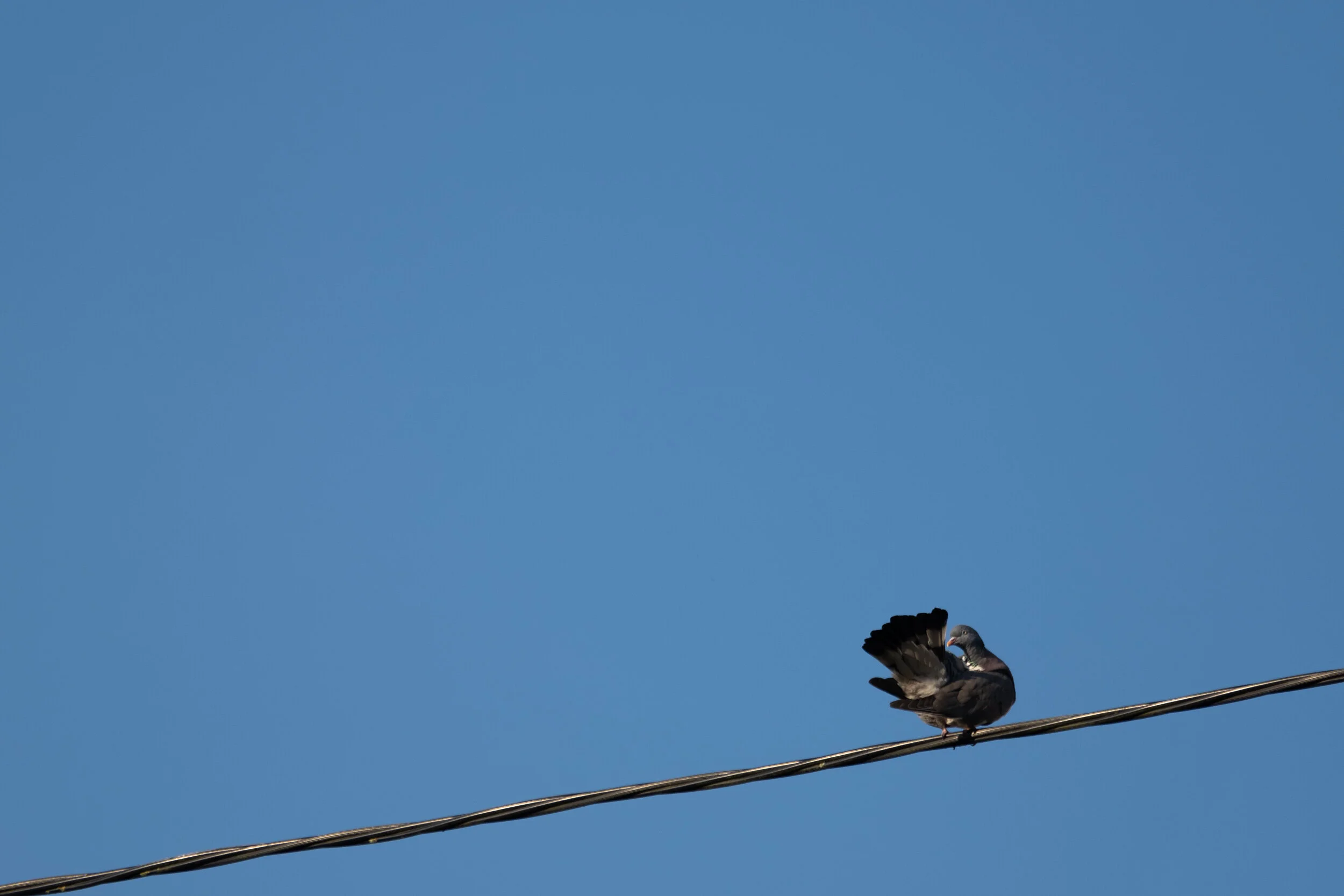 DSCF0006.jpg
