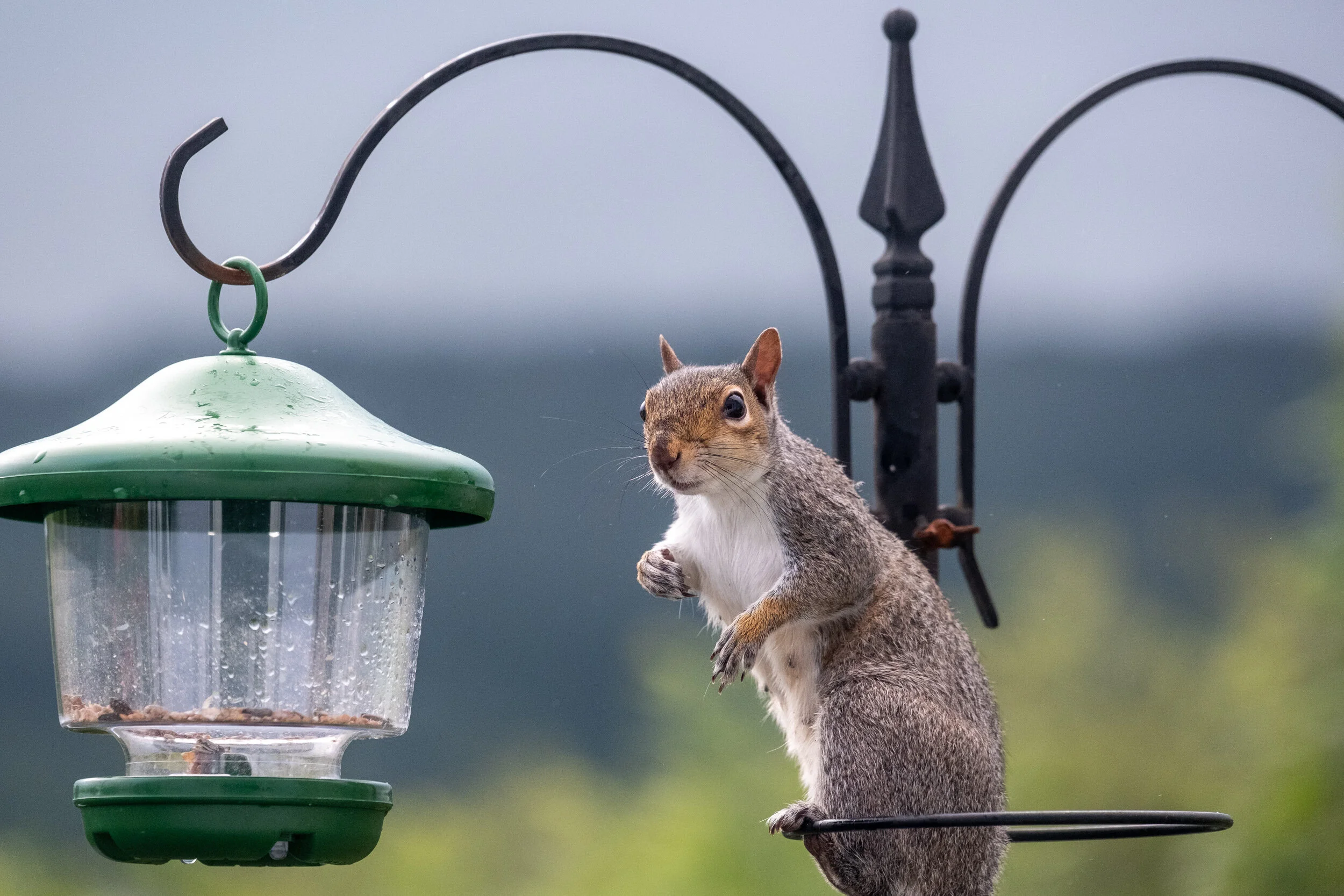 DSCF1336-2.jpg
