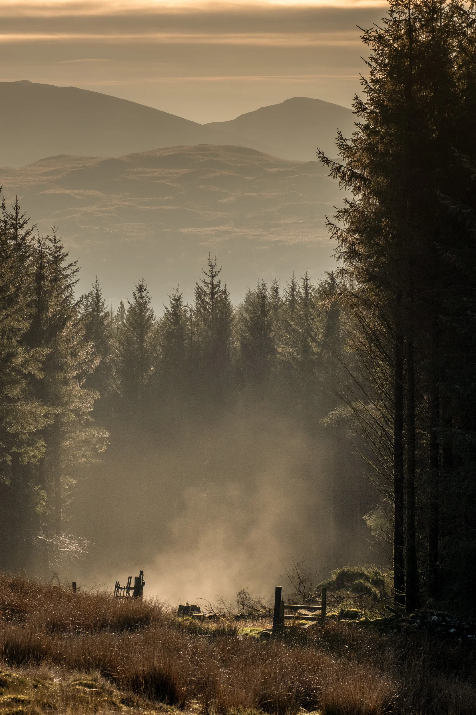 Conwy_landscape_photographer-3.jpg