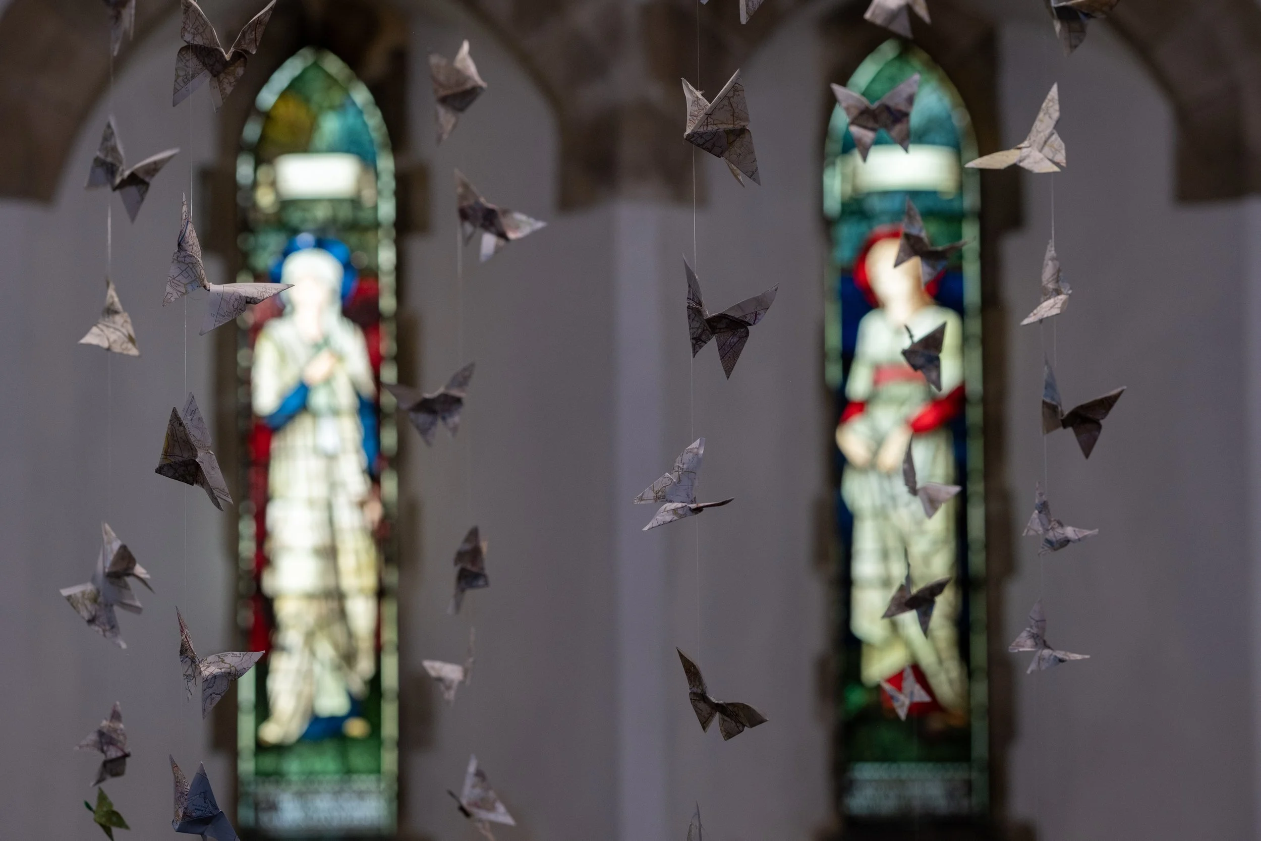 Butterflies of St.Mary’s