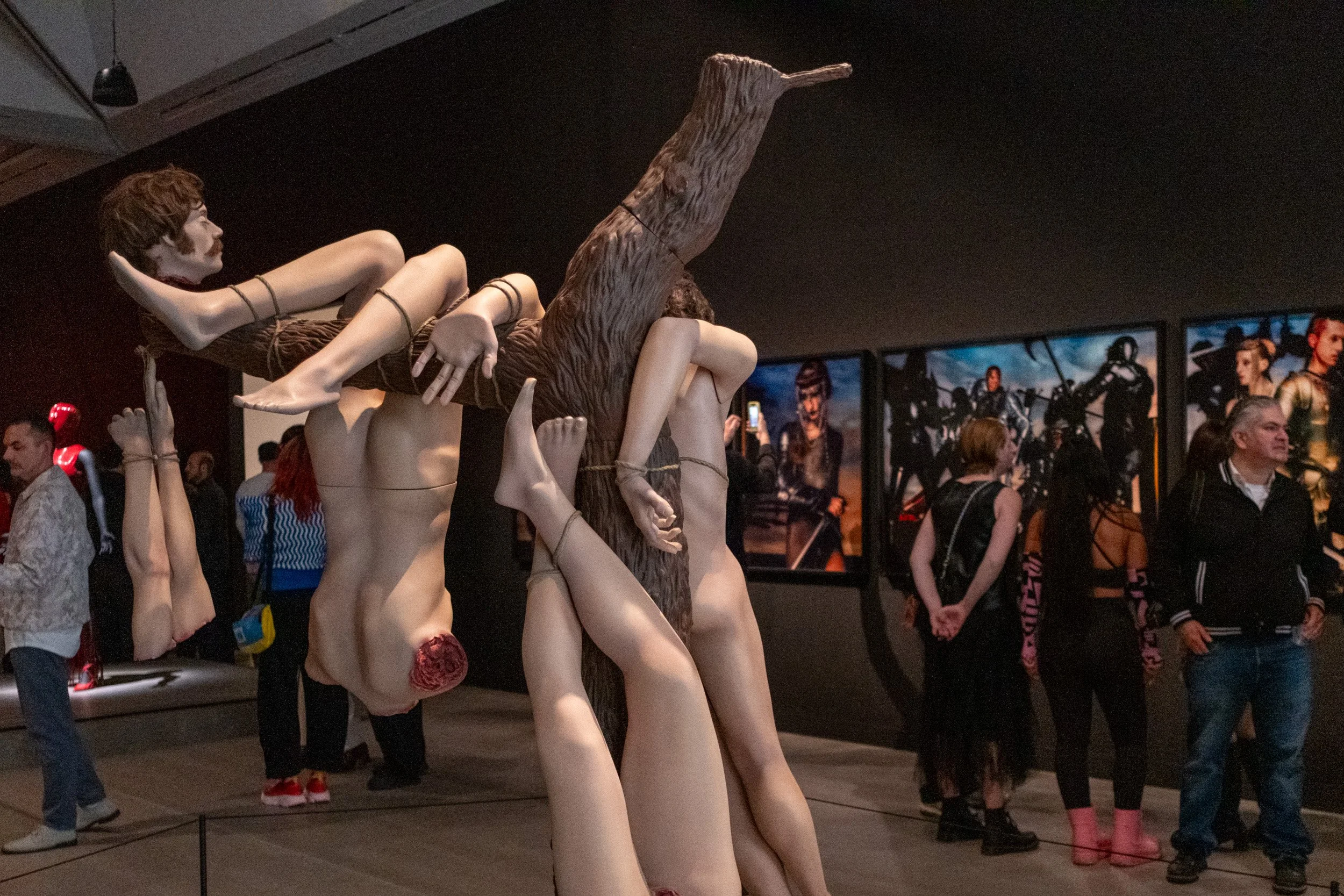 DSCF7513.jpg