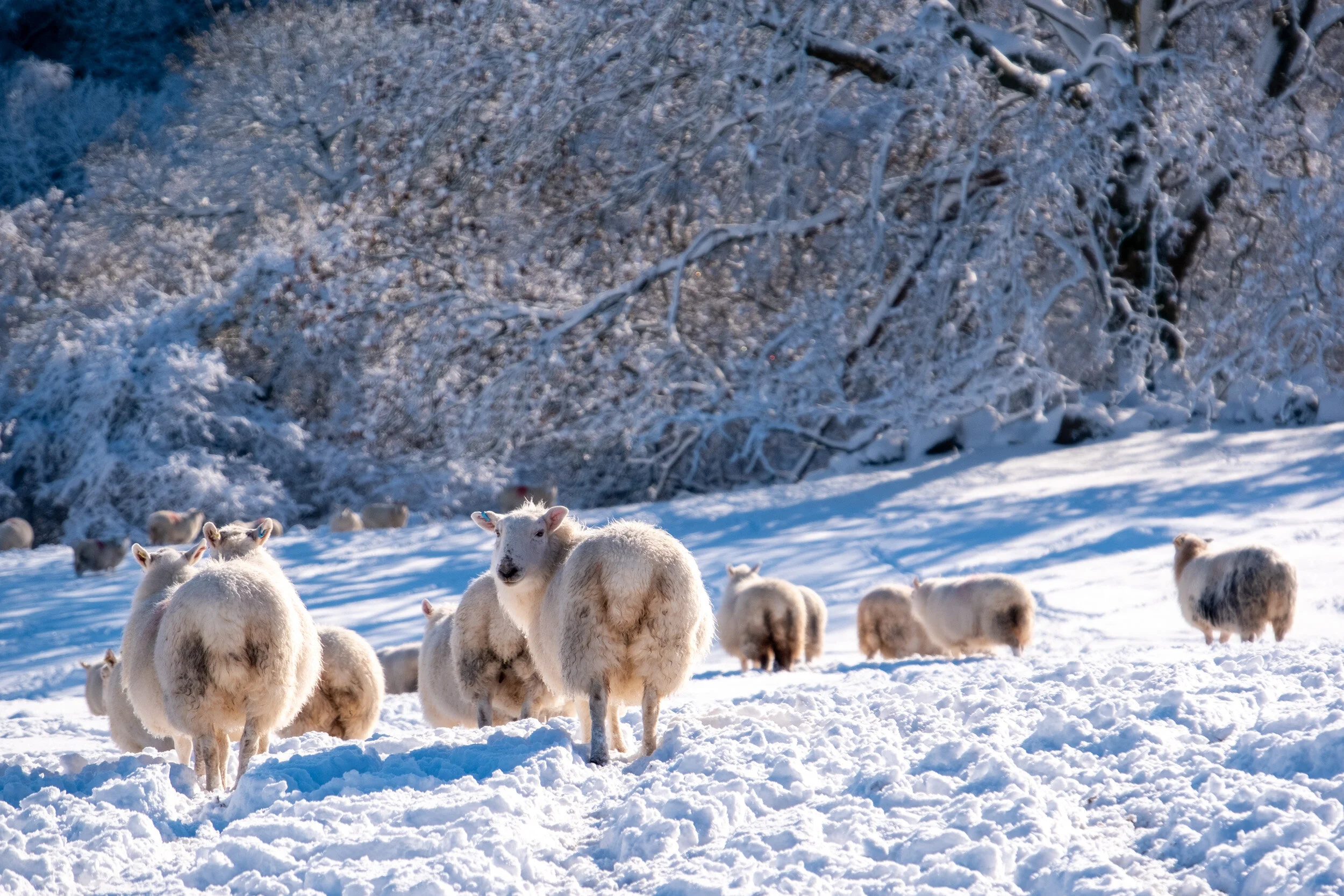 Conwy_landscape_photographer-24.jpg