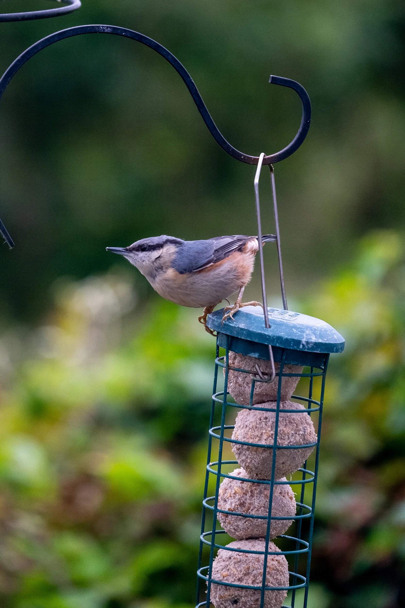 DSCF0867-Edit.jpg