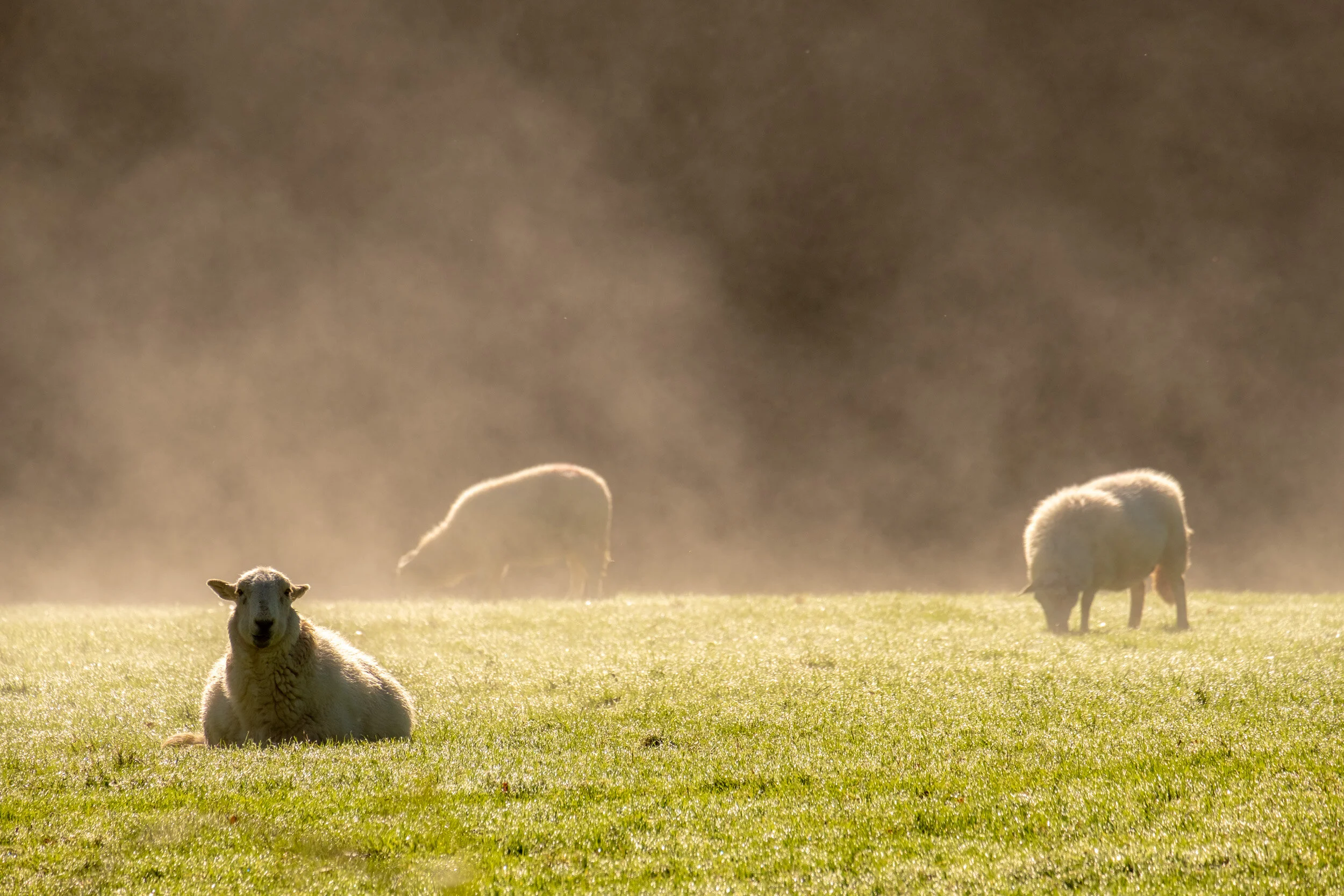 Conwy_landscape_photographer-15.jpg