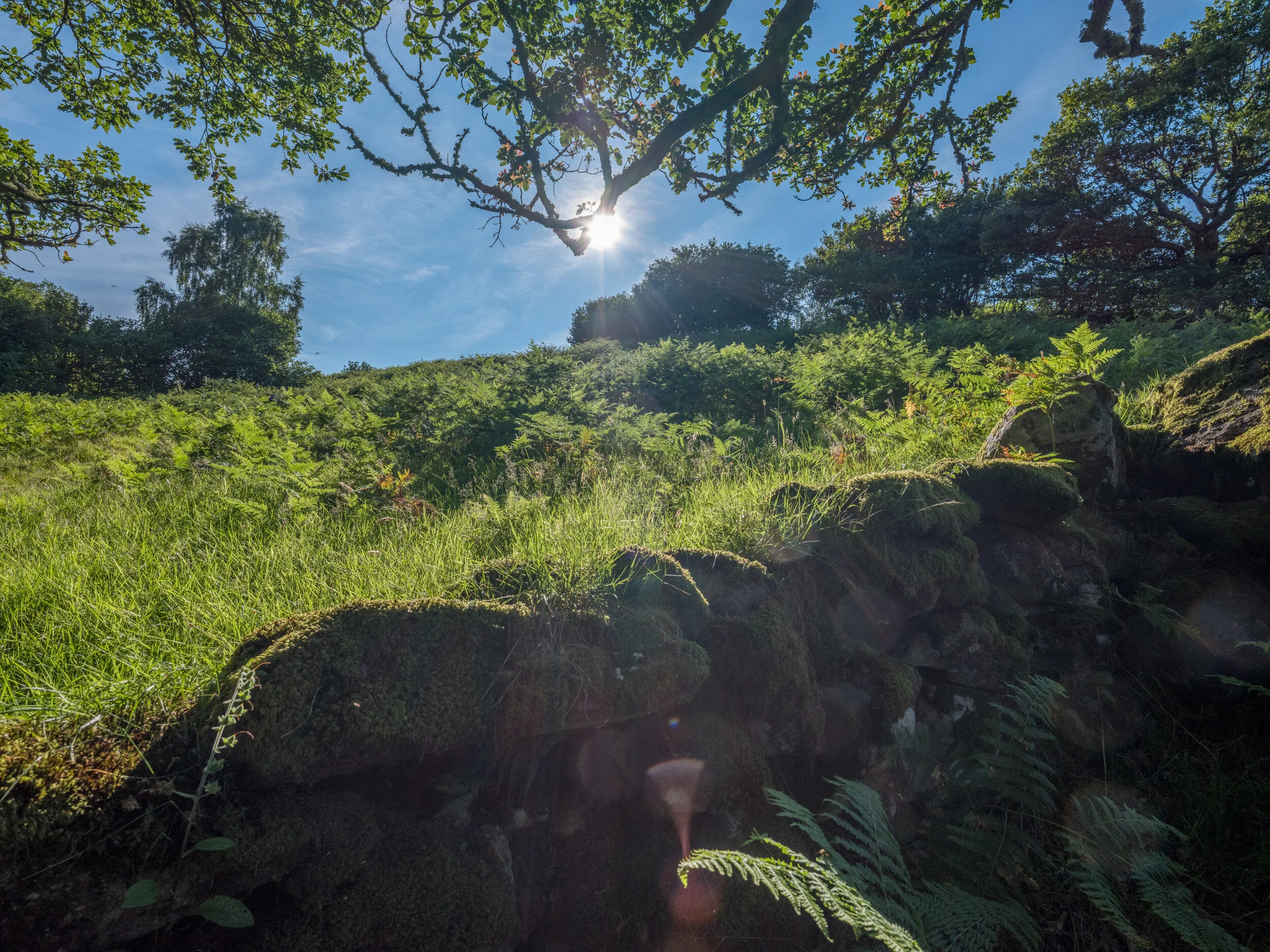 Conwy_landscape_photographer-12.jpg