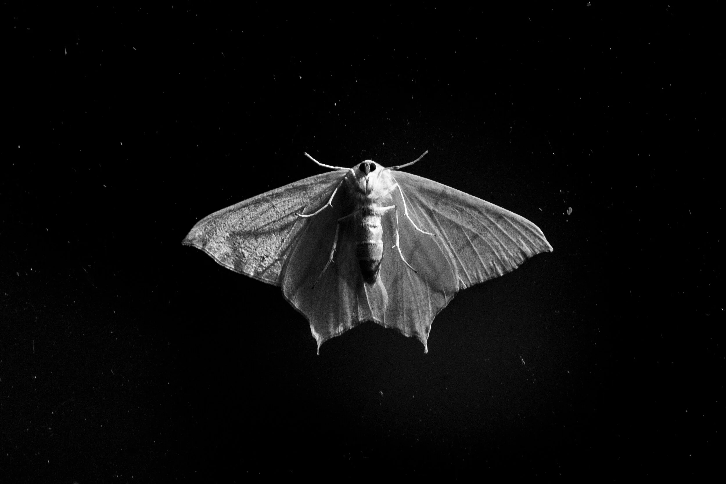DSCF1673.jpg