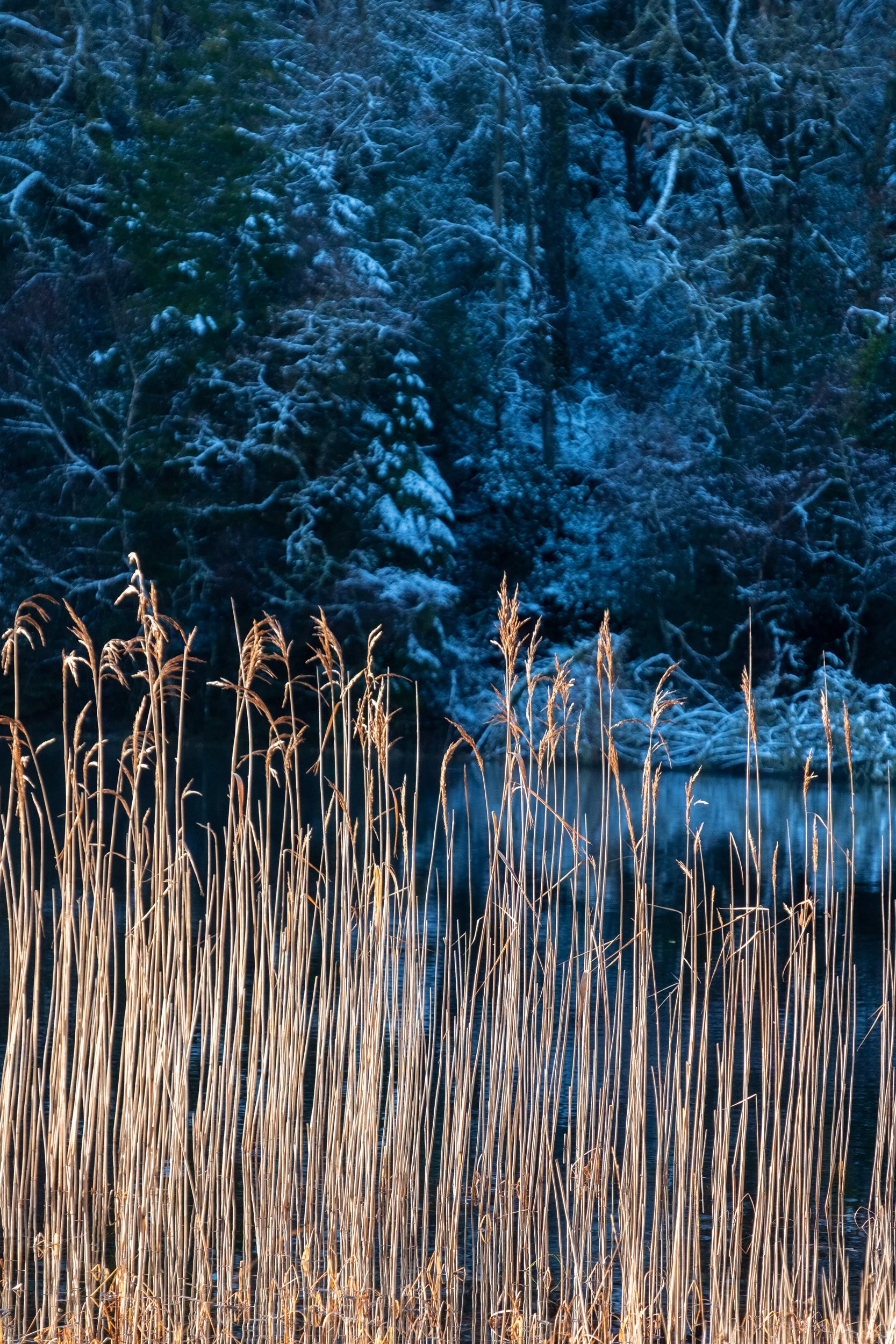 Conwy_landscape_photographer-2.jpg