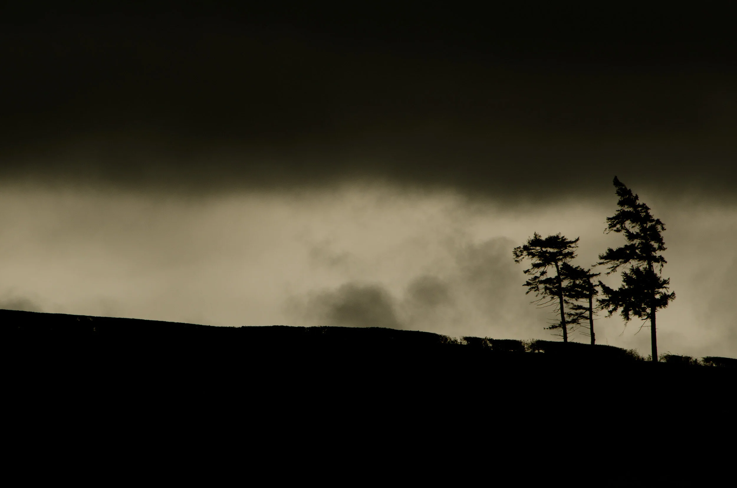 Conwy_landscape_photographer-22.jpg