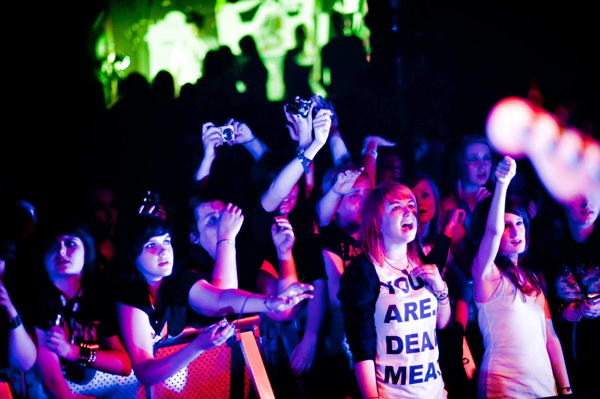 Music_Crowds-20.jpg