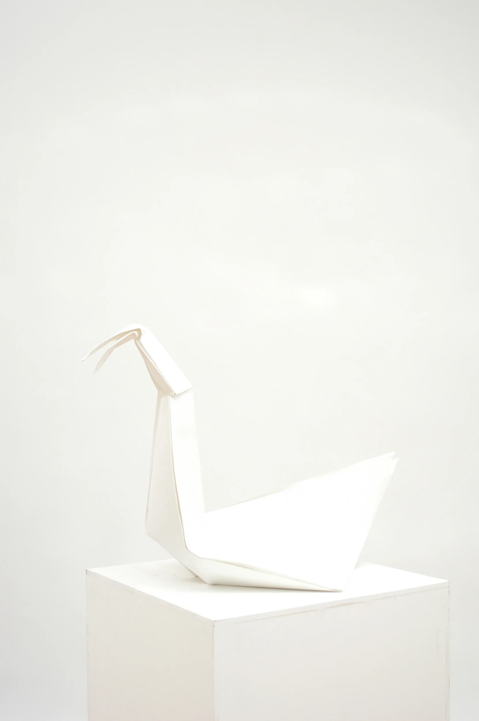 Ride A White Swan