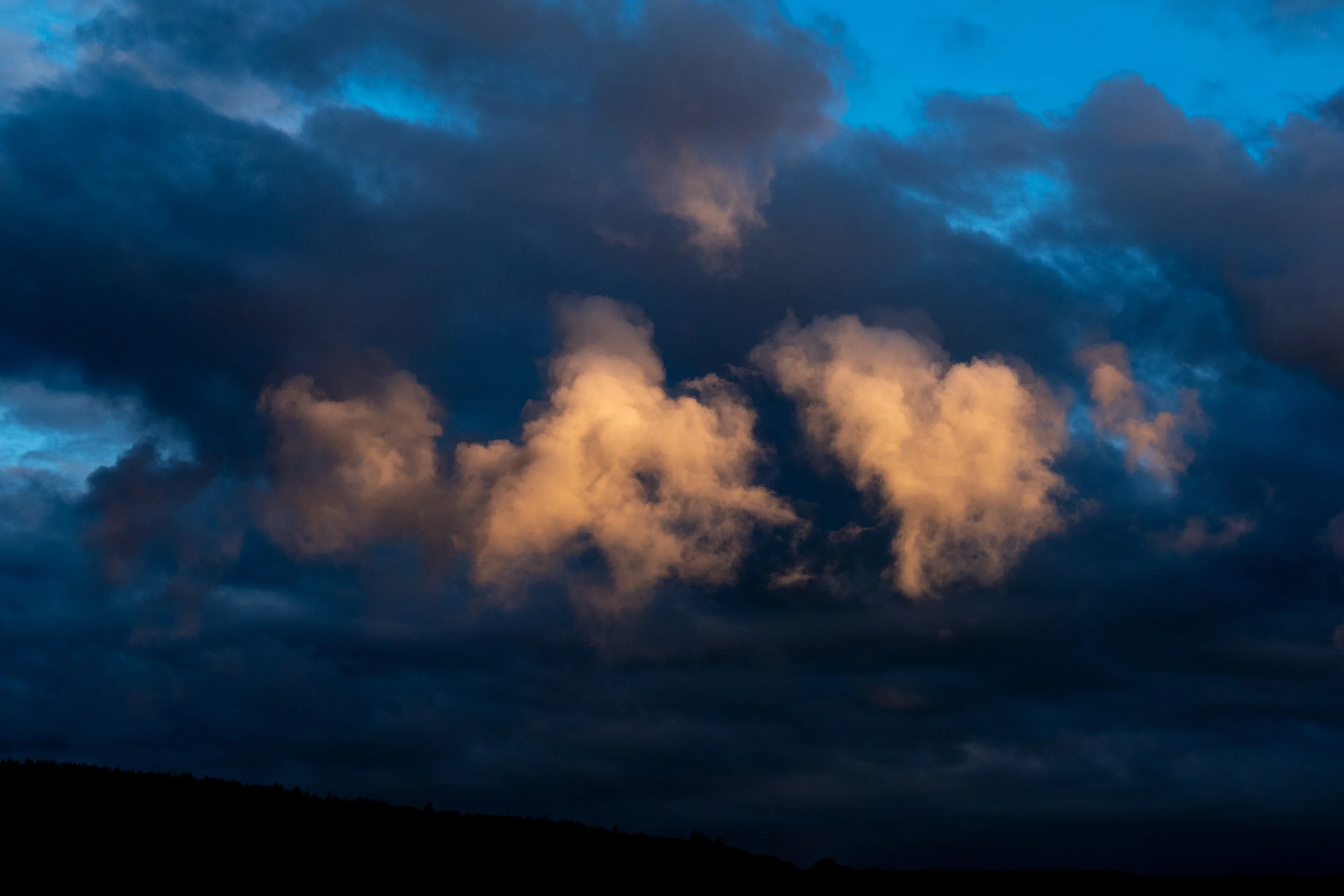 DSCF5531.jpg