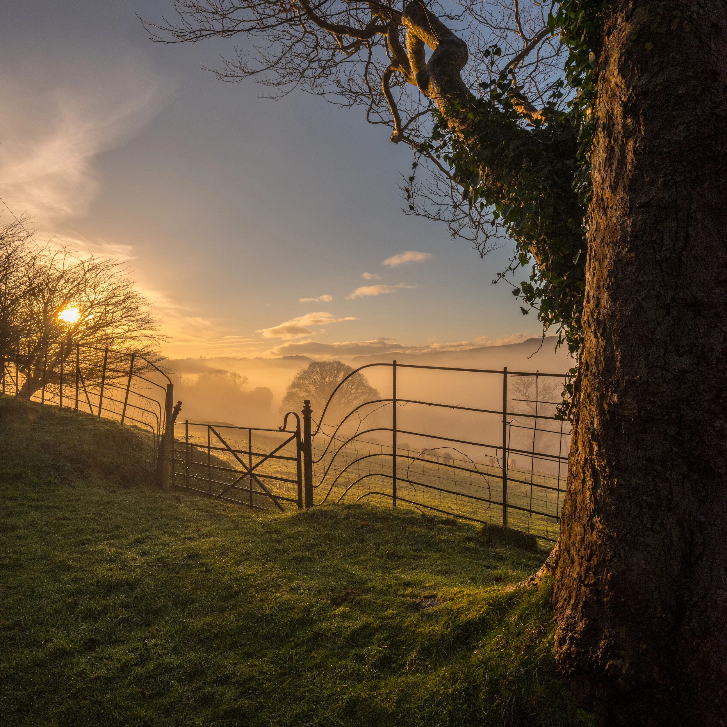 Conwy_landscape_photographer-9.jpg