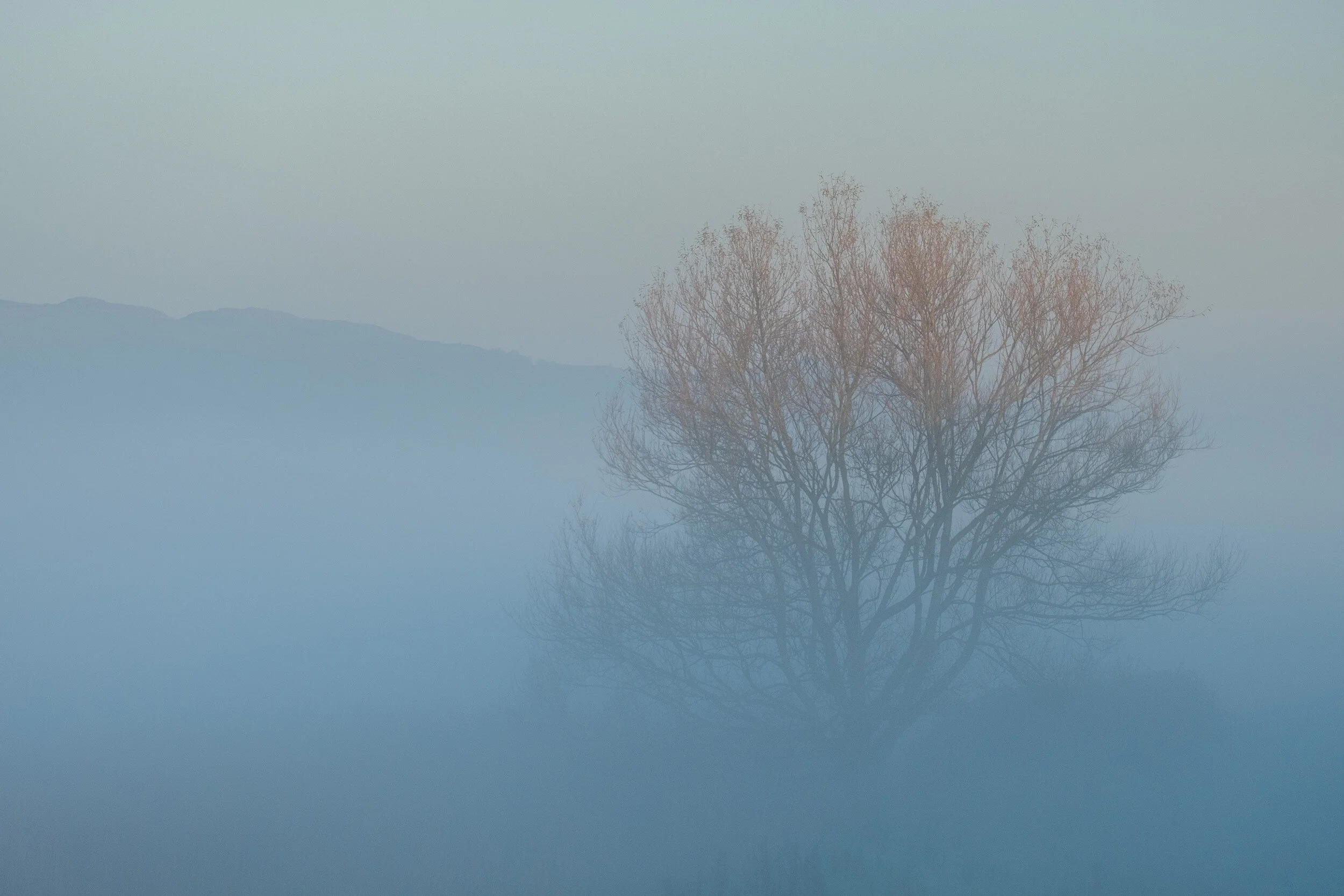 Conwy_landscape_photographer-17.jpg