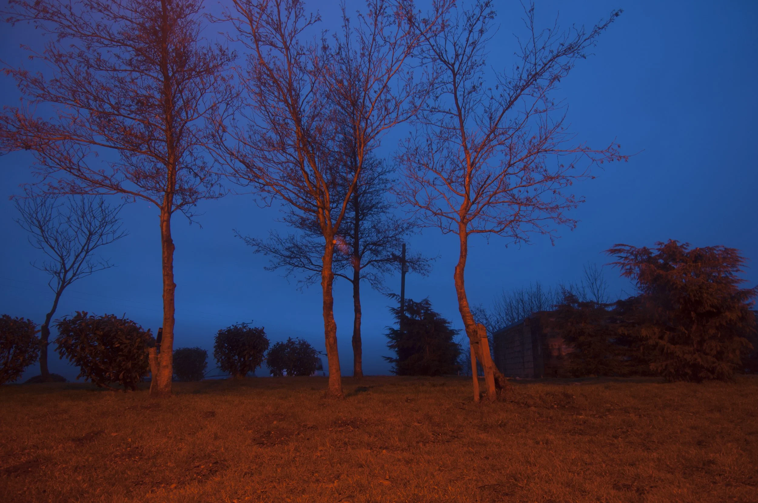 DSC_0018.jpg