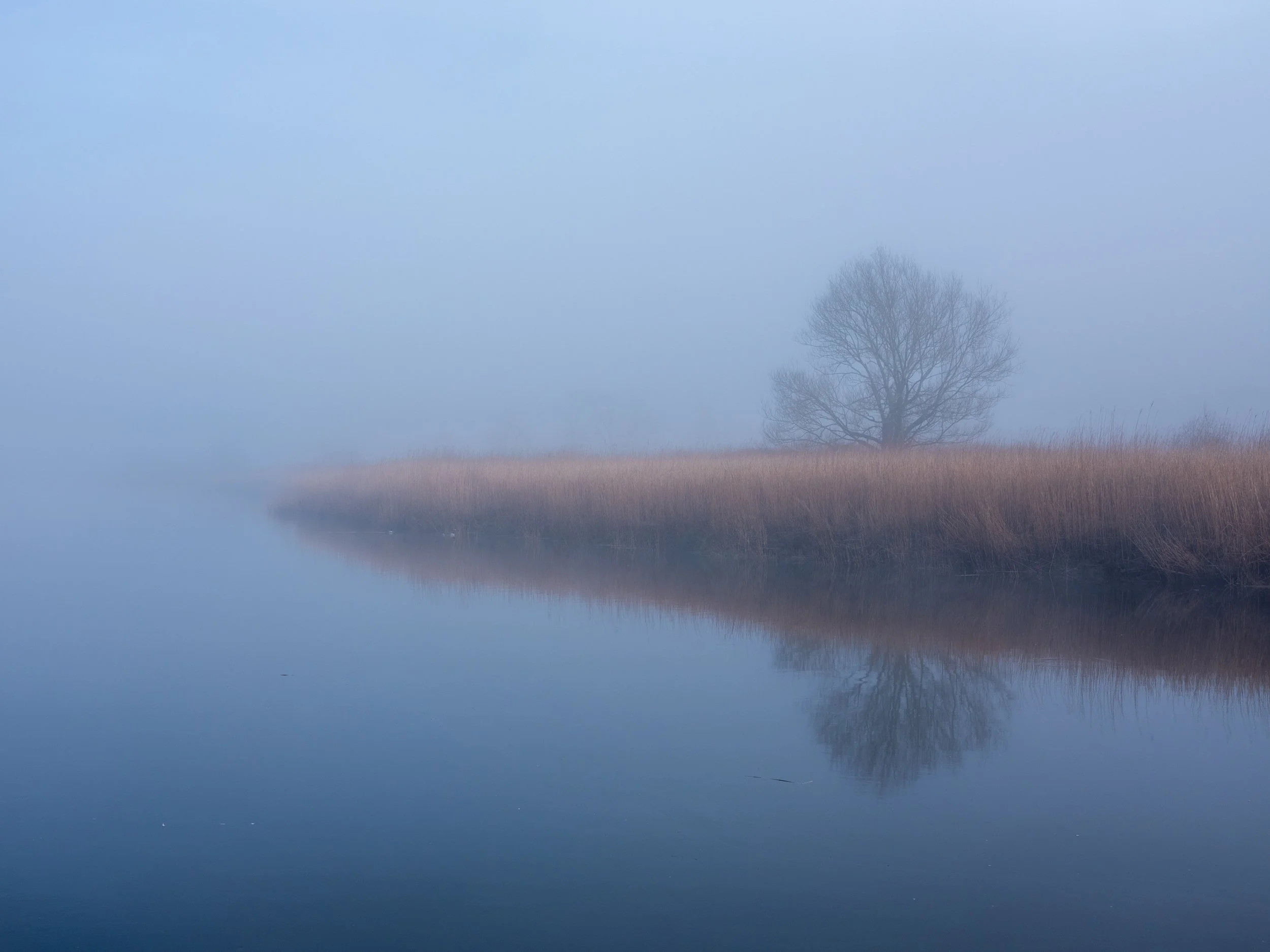 DSCF0645.jpg