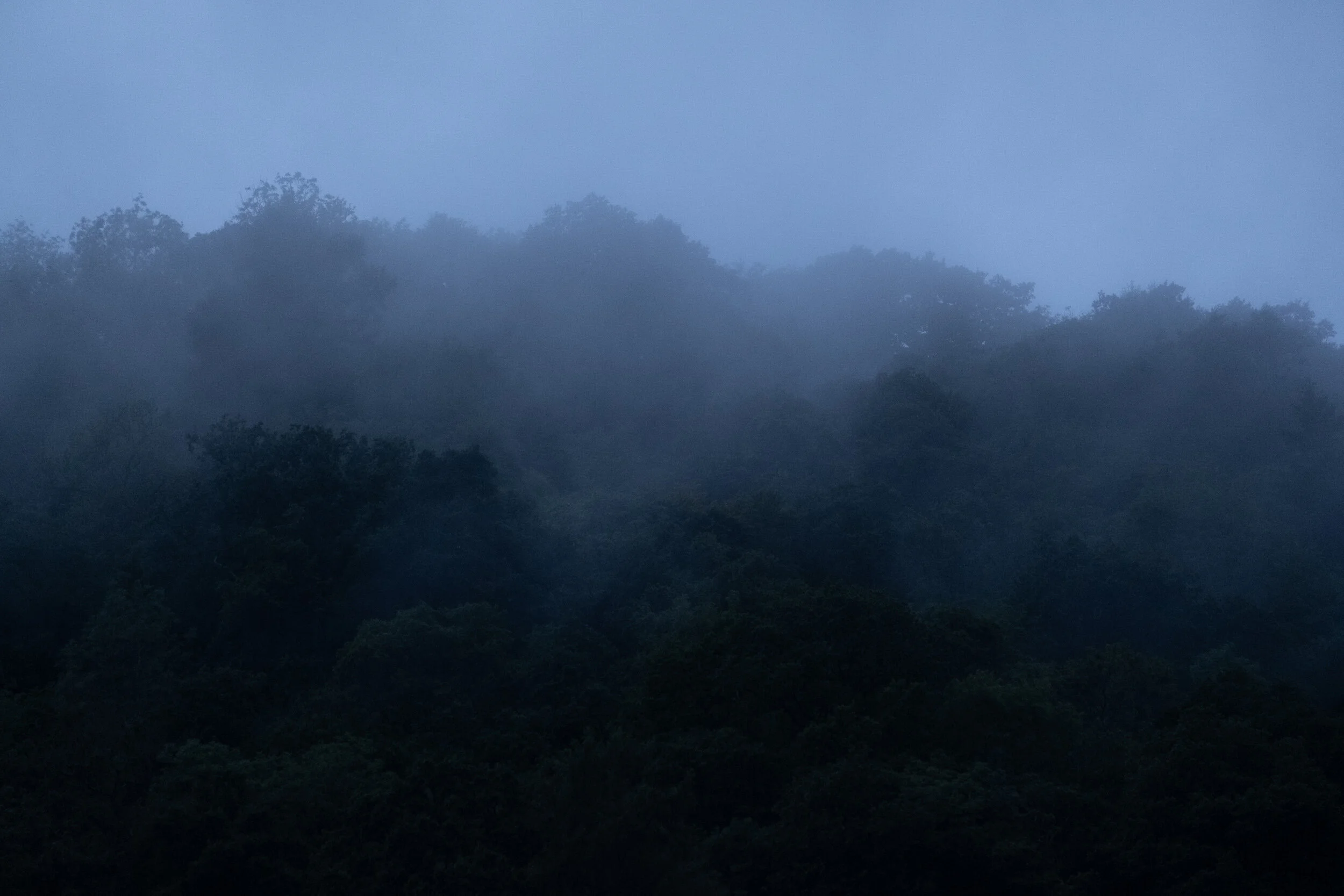 DSCF1667.jpg