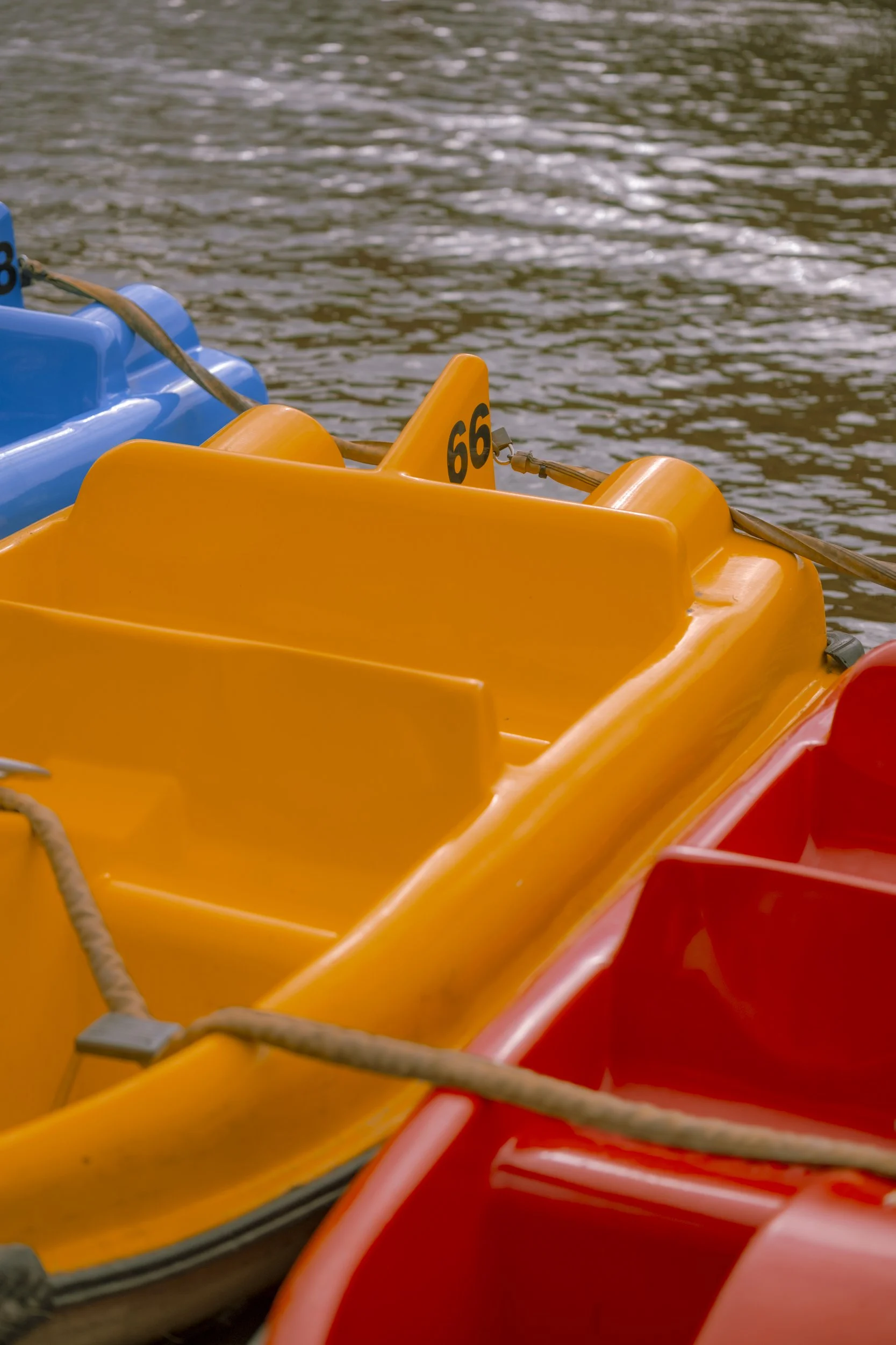 DSCF2390.jpg