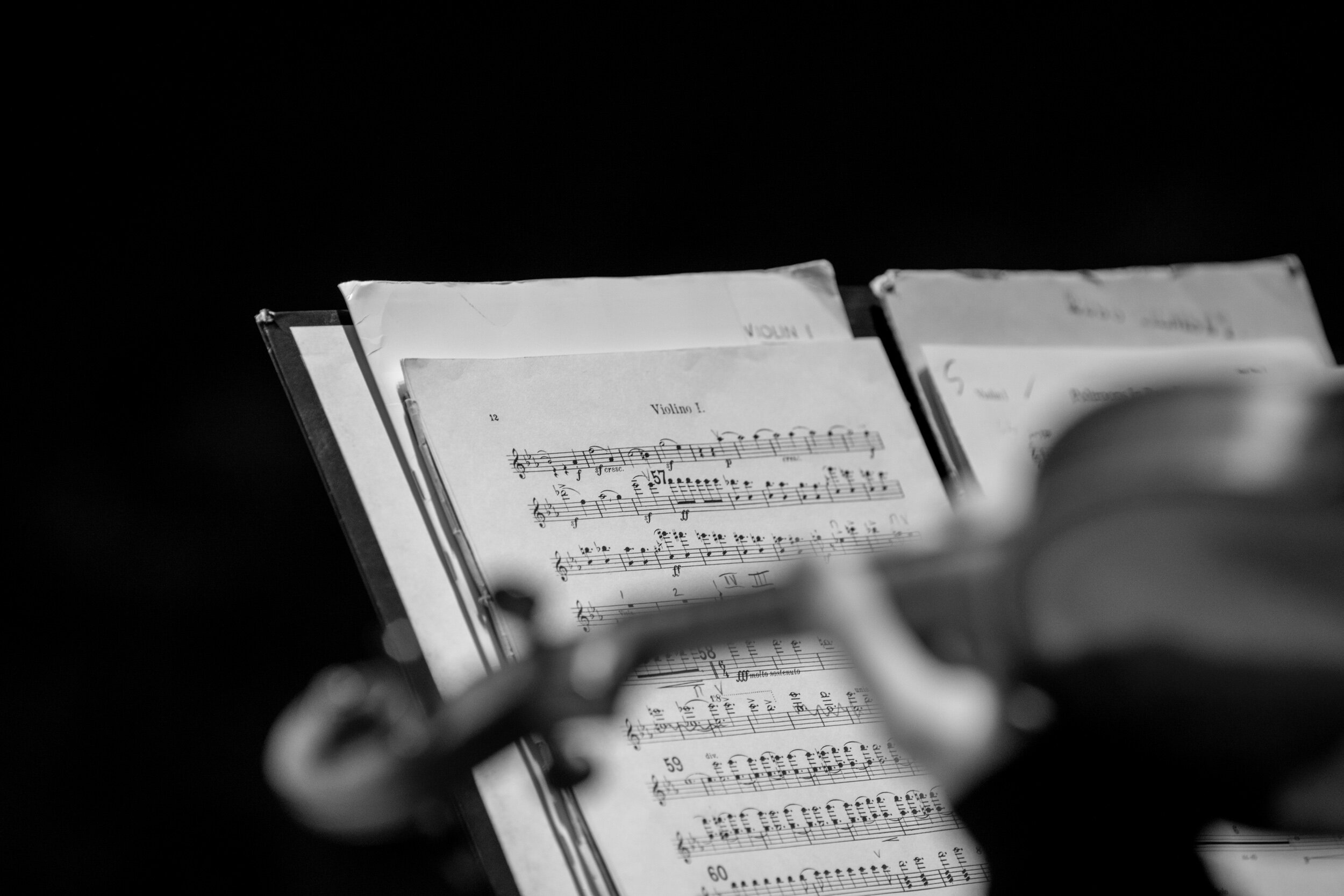 RLPO_backstage-13.jpg