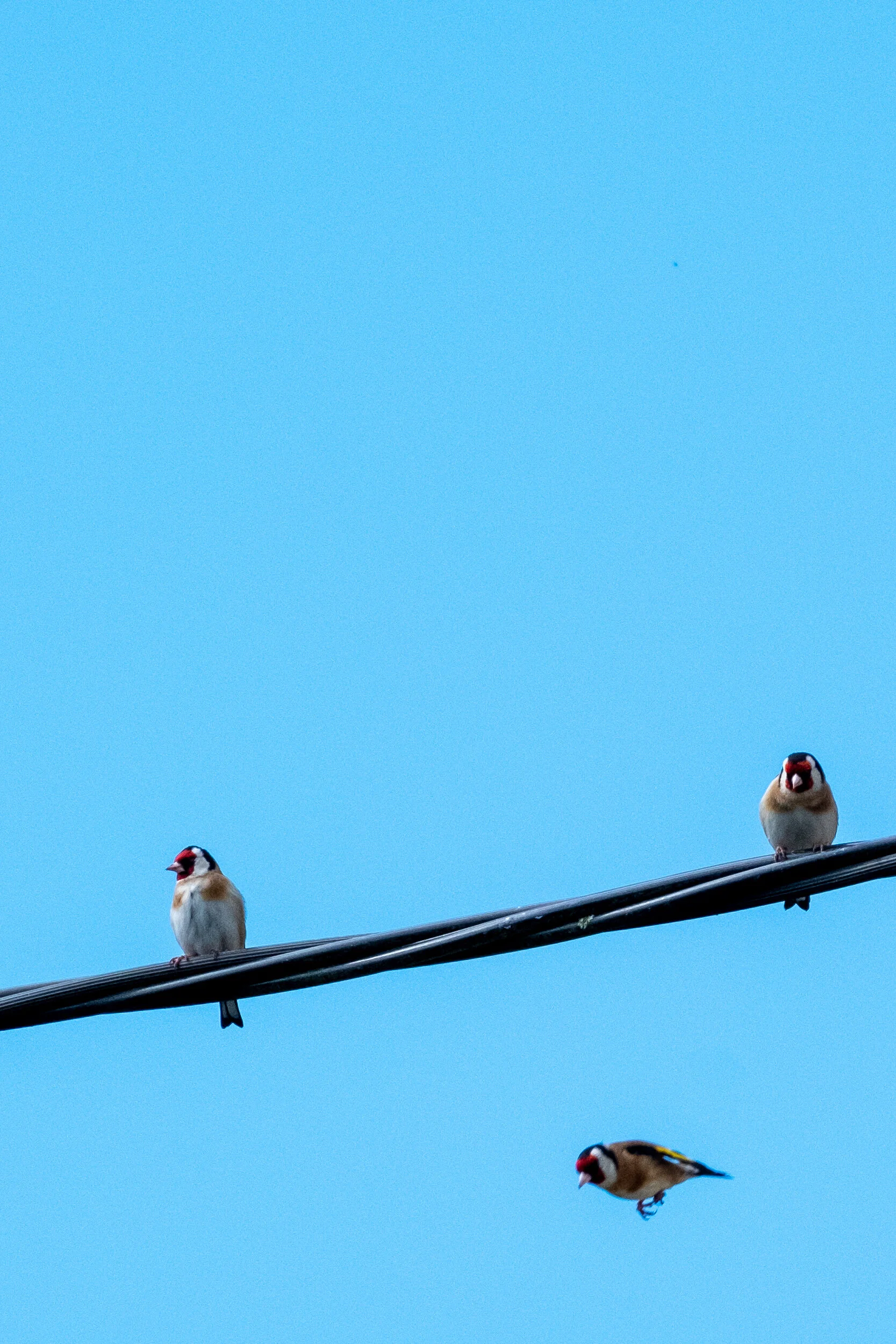 DSCF0622.jpg