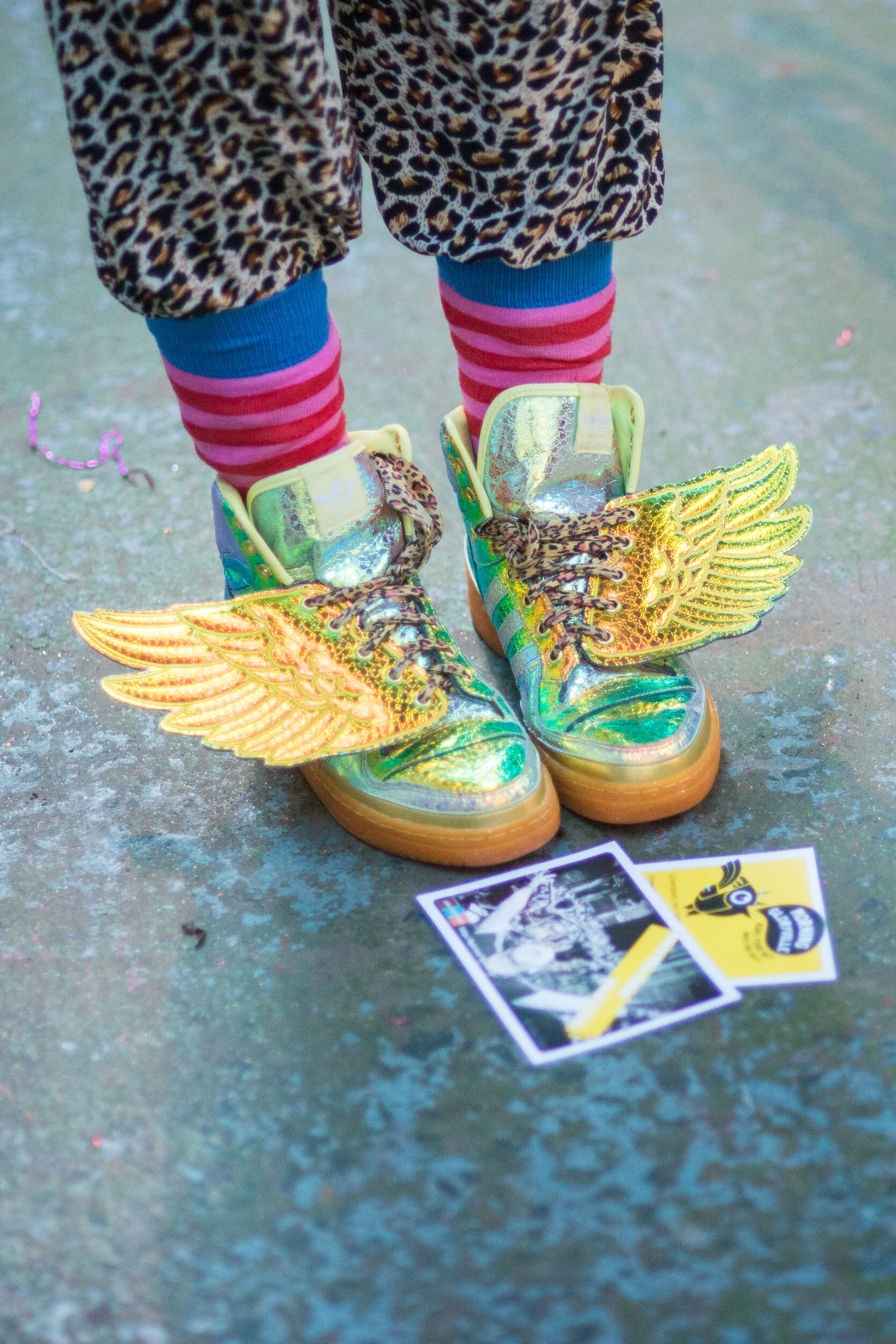 MorningGloryville-4.jpg