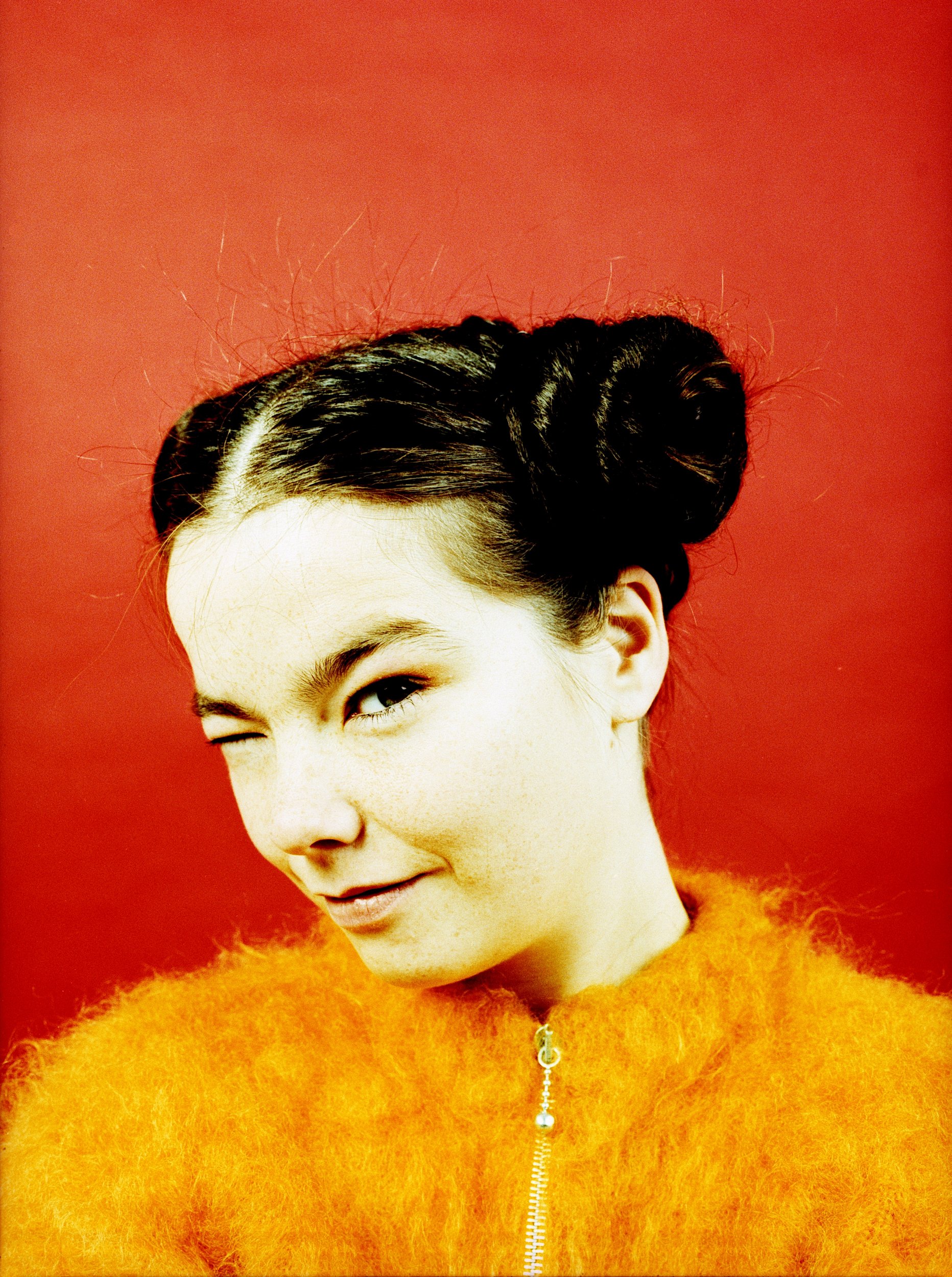 Bjork